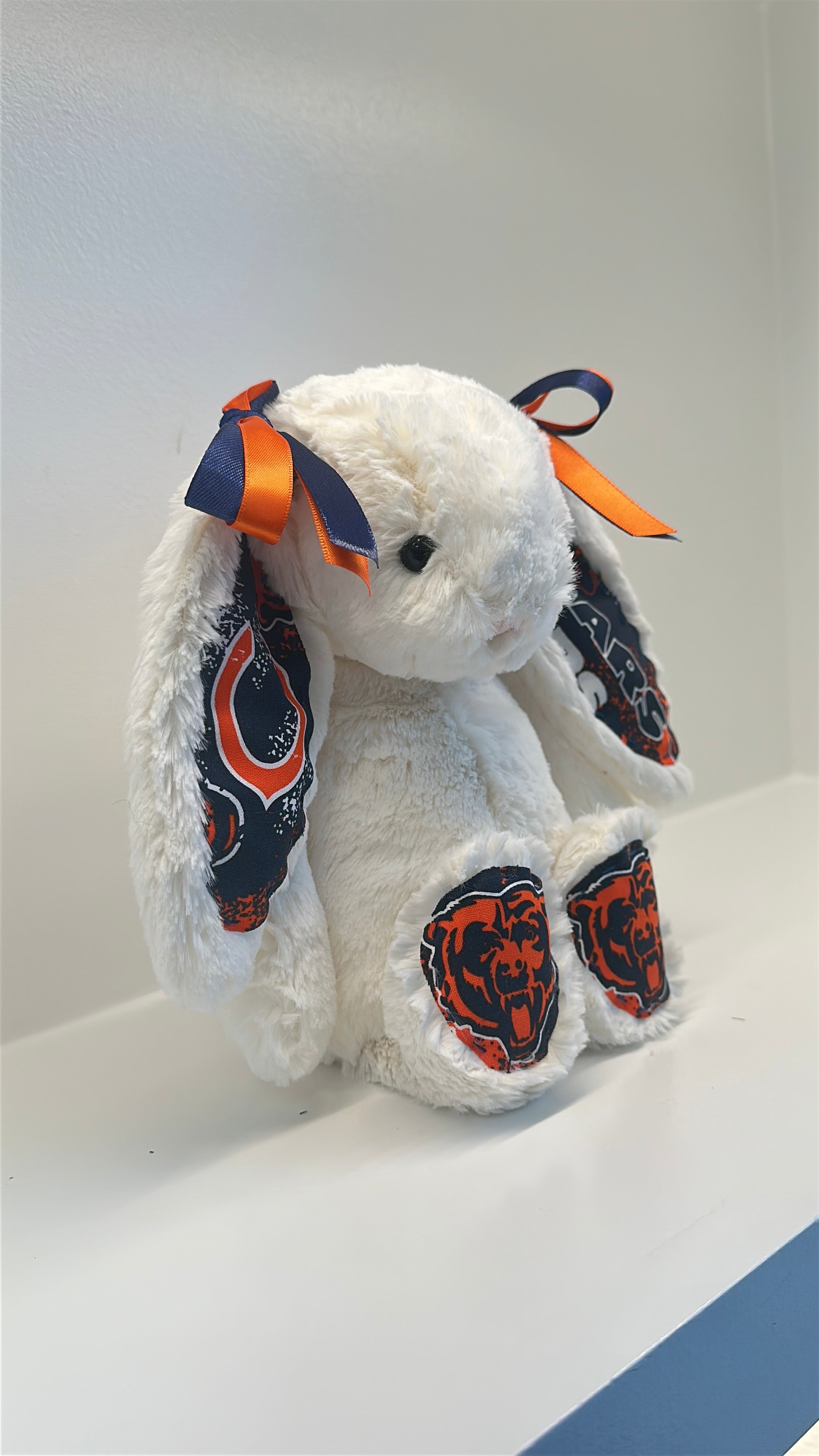 Custom Professional Sports Team Jellycat Bunny (NBA, NFL, NHL, MLB)