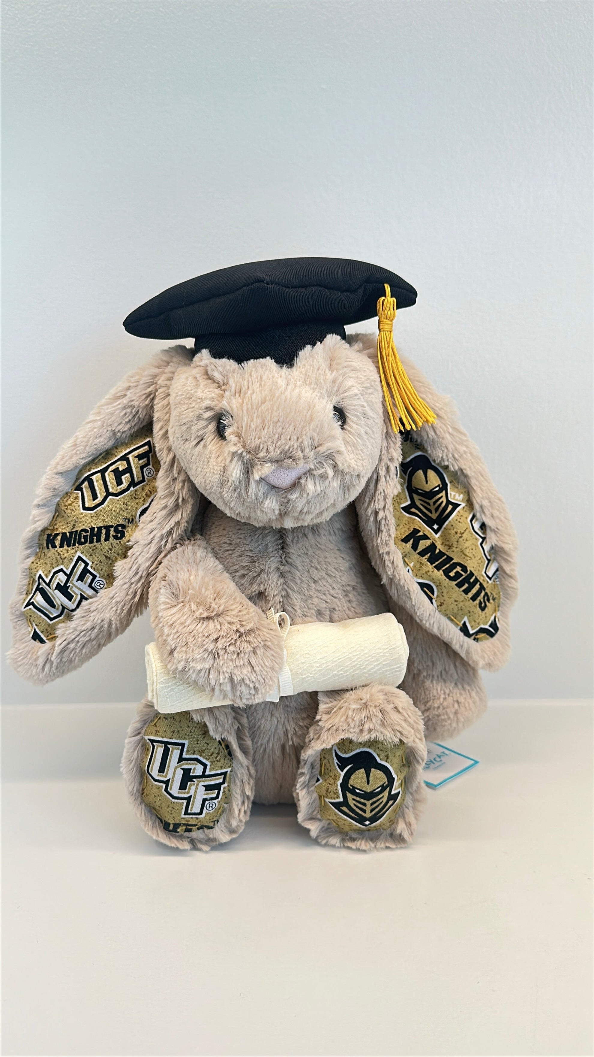 University of Central Florida (UCF) College Jellycat Bunny