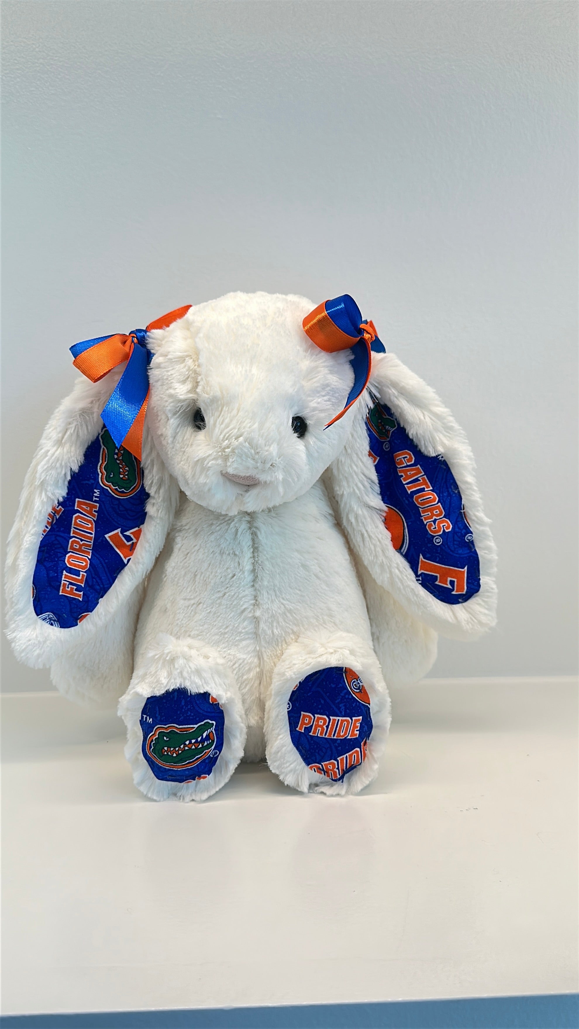 University of Florida Custom College Jellycat Bashful Bunny