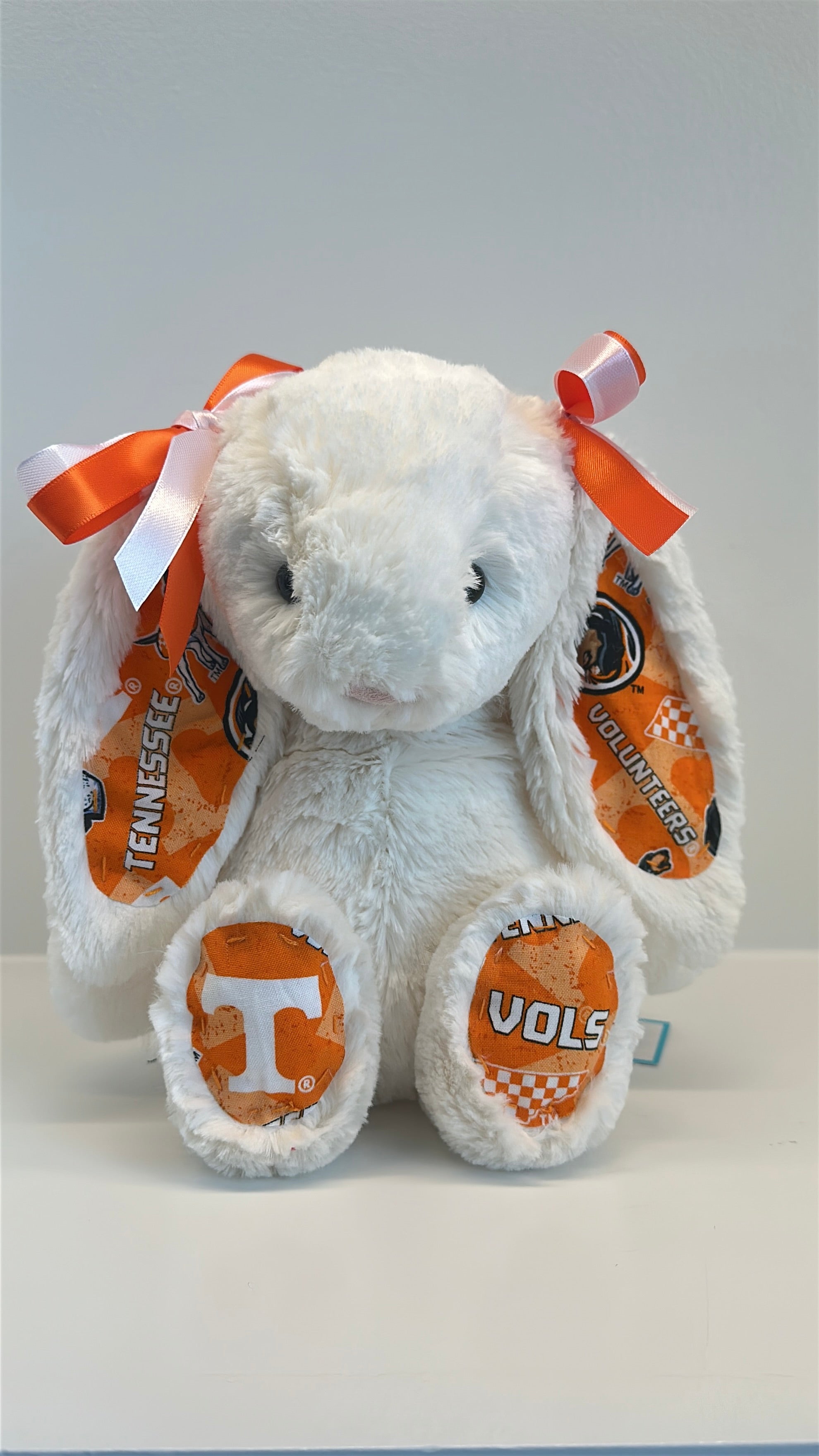 University of Tennessee Custom College Jellycat Bashful Bunny