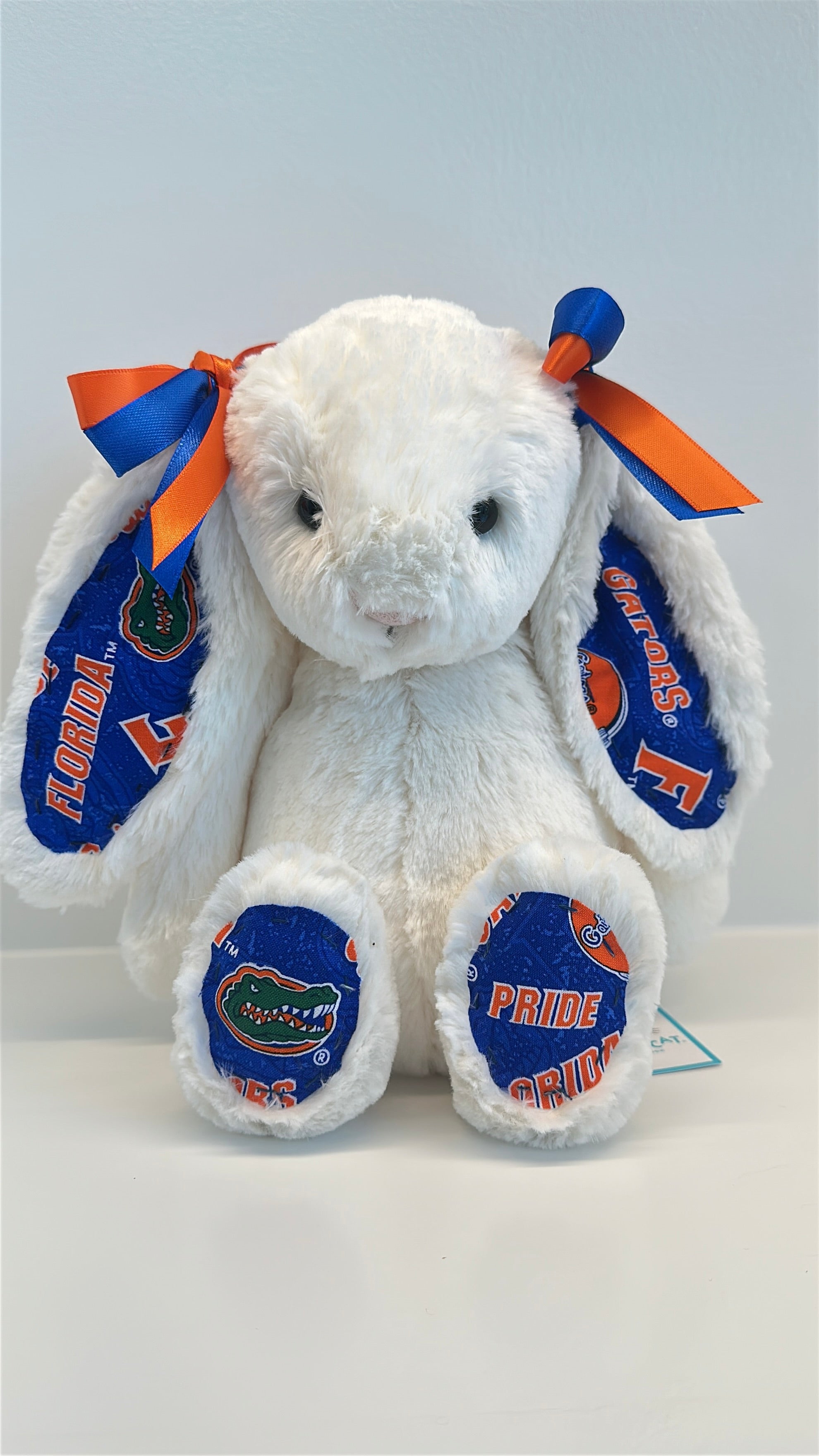 University of Florida Custom College Jellycat Bashful Bunny