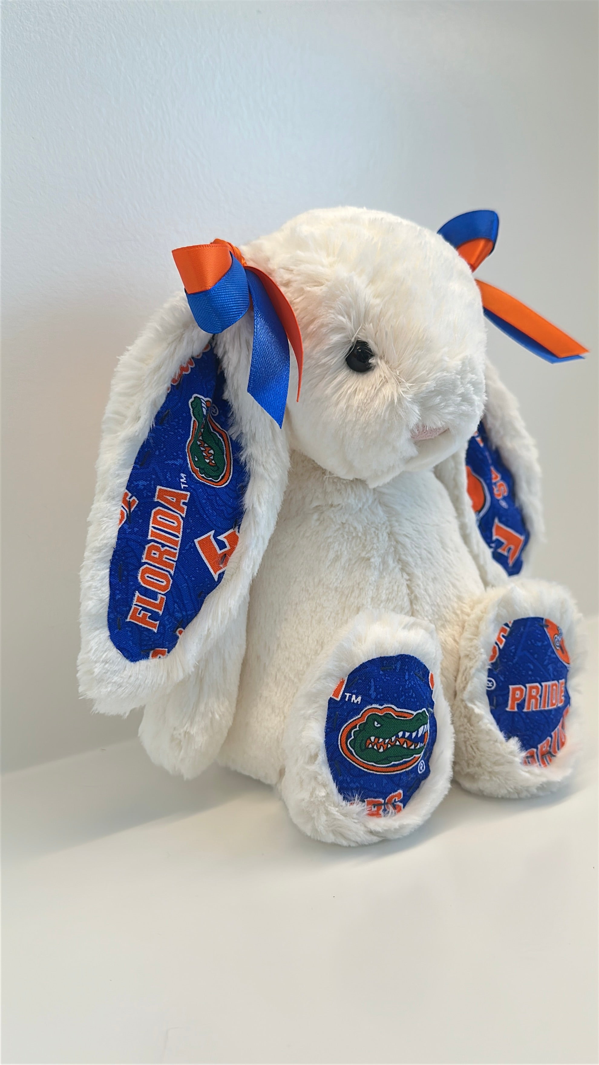 University of Florida Custom College Jellycat Bashful Bunny