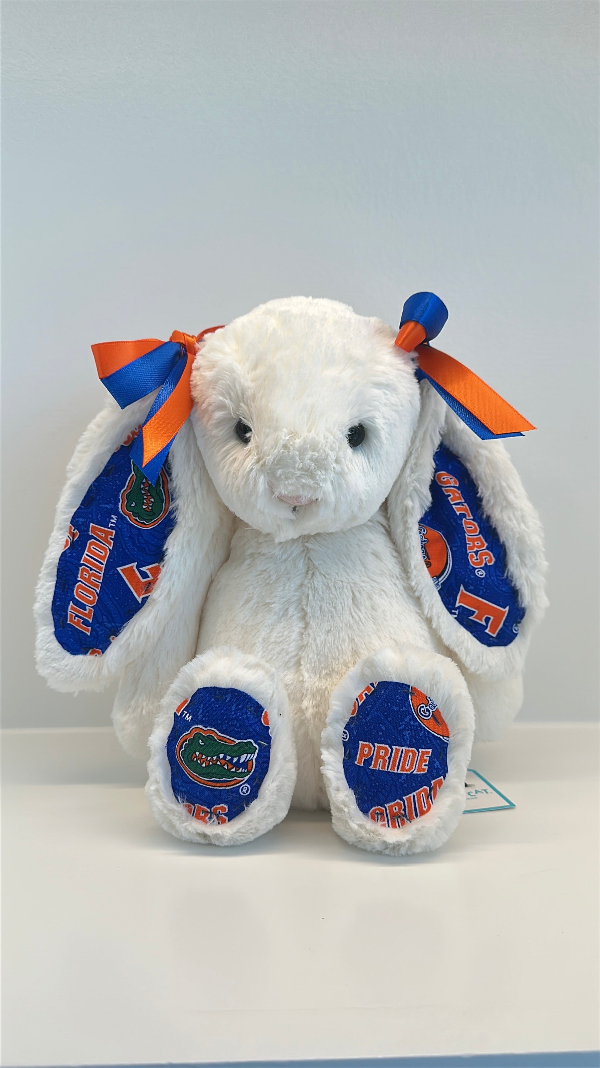 University of Florida Custom College Jellycat Bashful Bunny