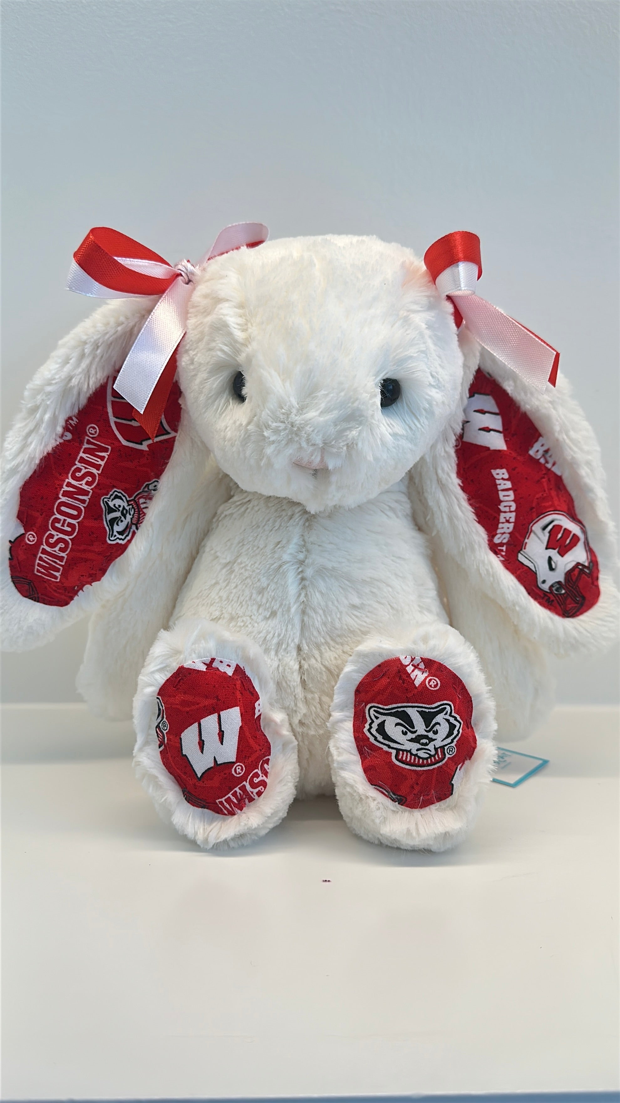 University of Wisconsin Custom College Jellycat Bashful Bunny