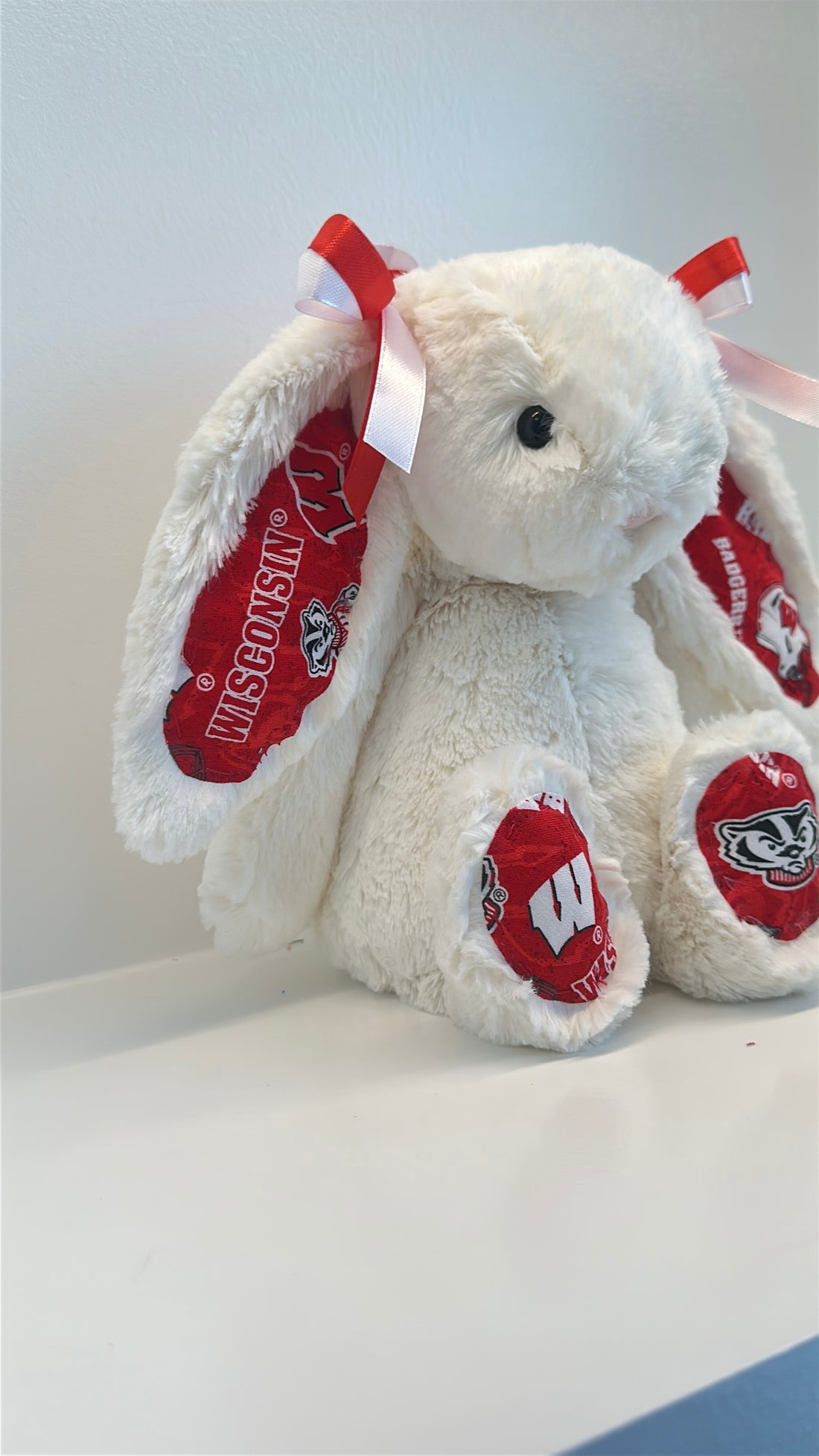 University of Wisconsin Custom College Jellycat Bashful Bunny