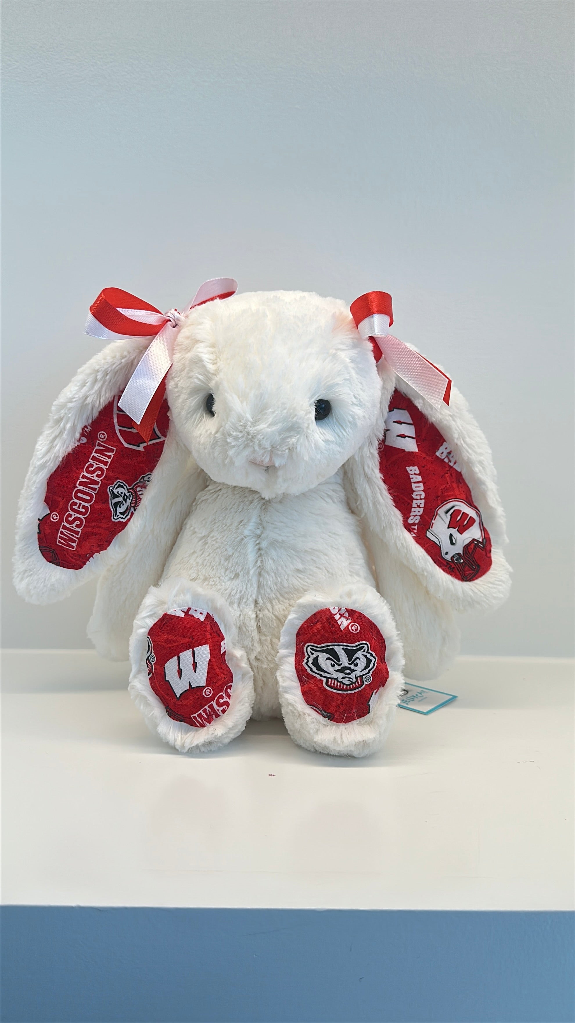 University of Wisconsin Custom College Jellycat Bashful Bunny