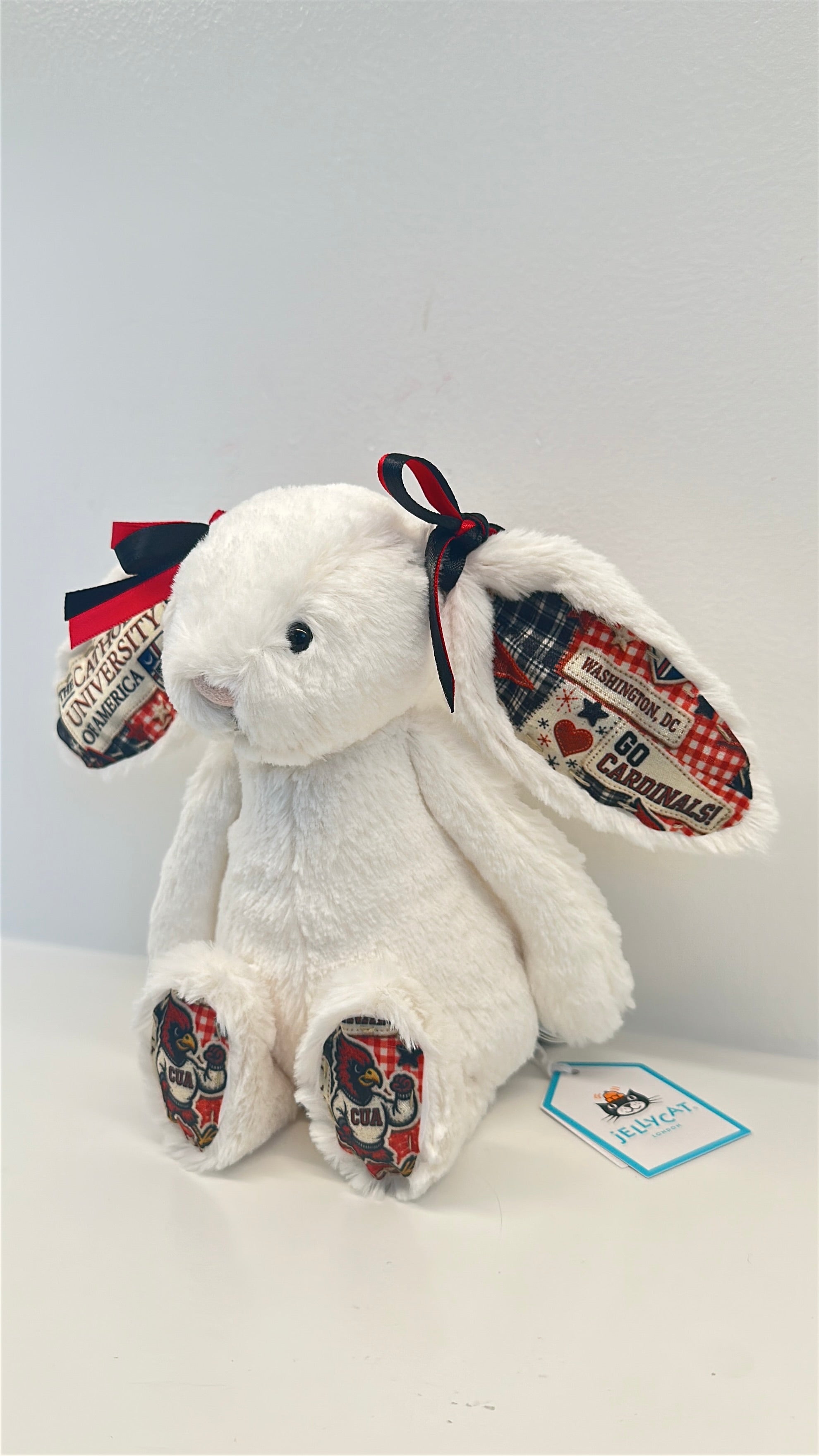 Washington University (WashU) Fully Custom Jellycat Bunny