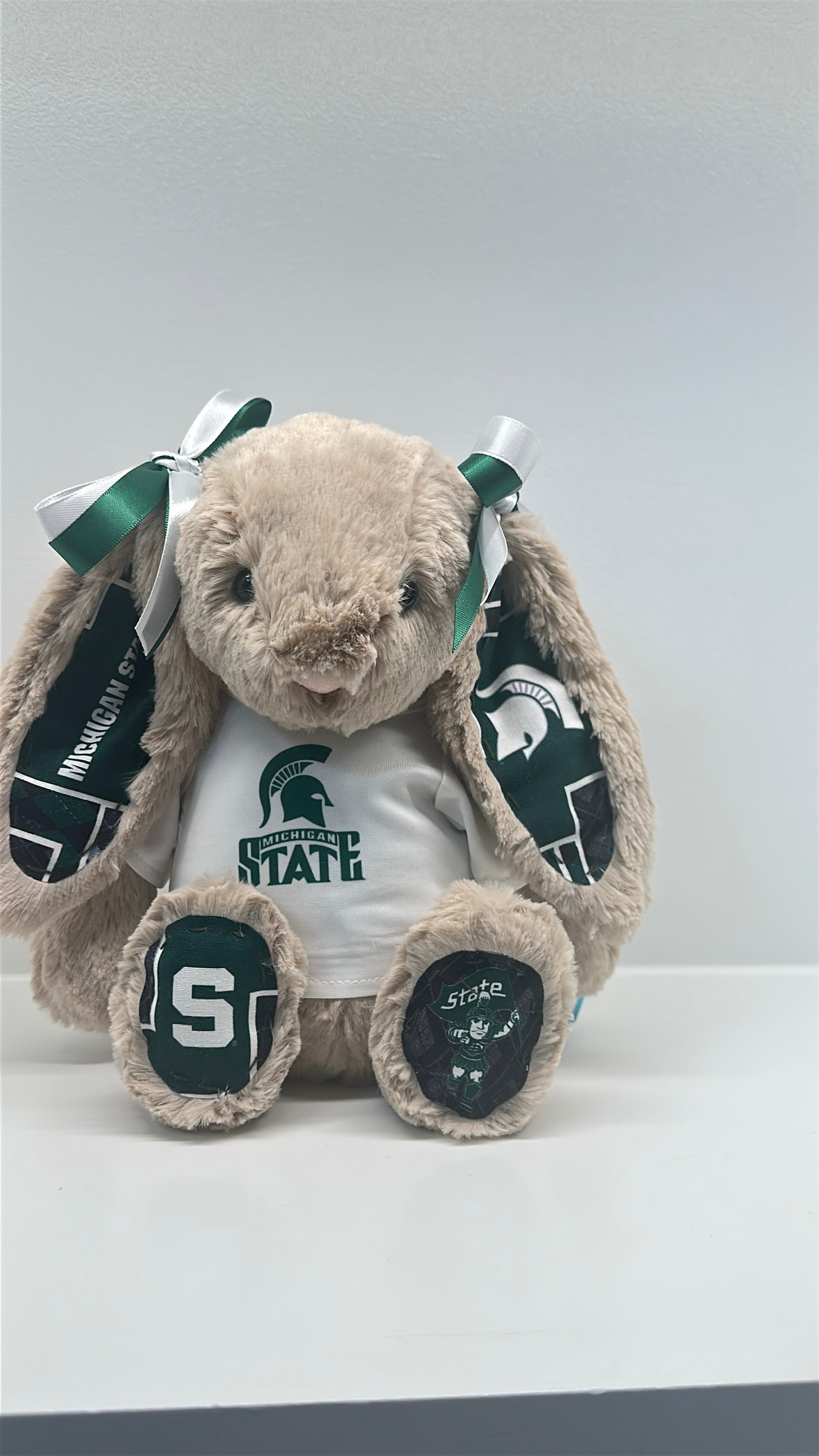 Michigan State University Custom College Jellycat Bashful Bunny