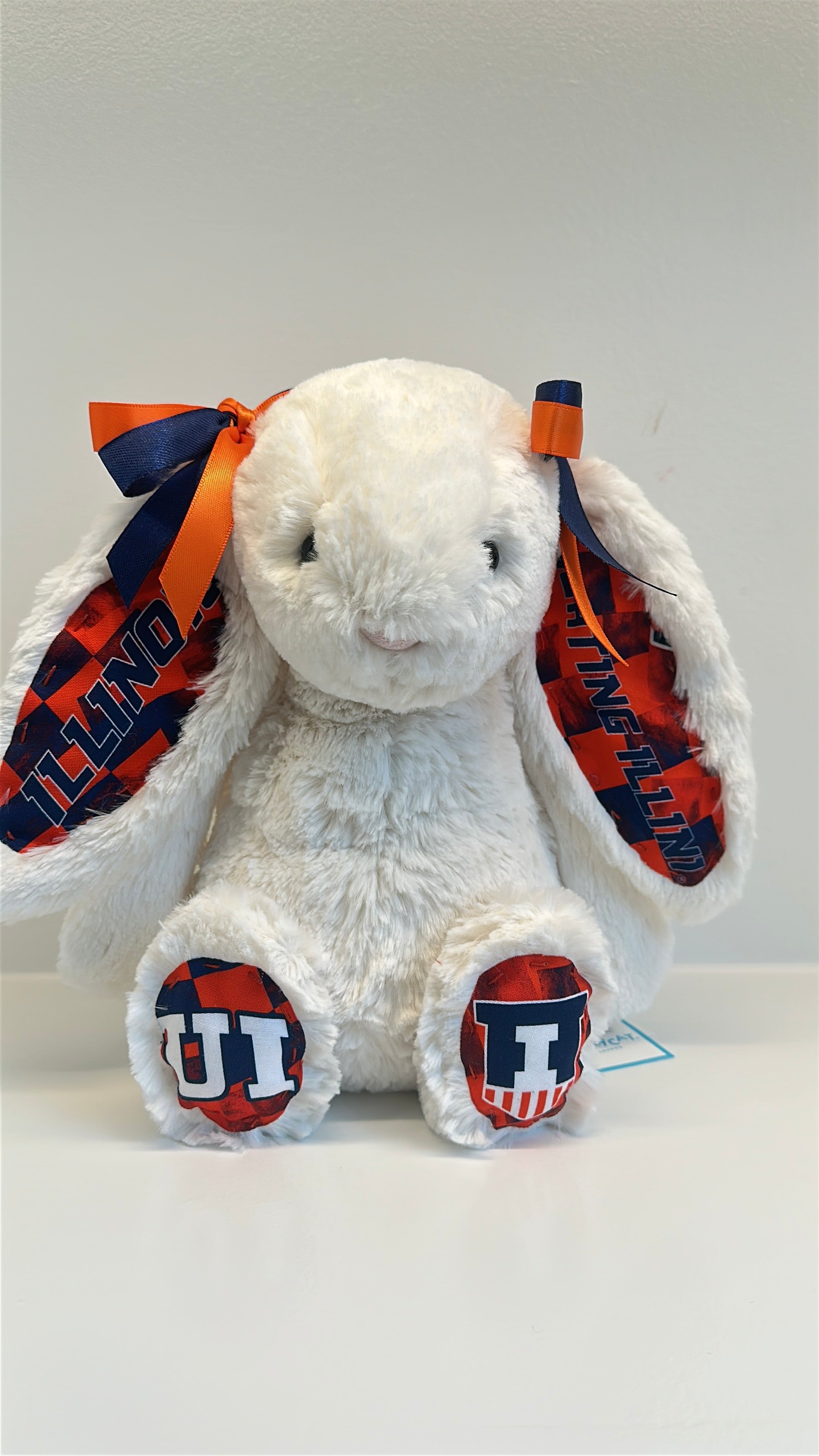 College Jellycat Bashful Bunny