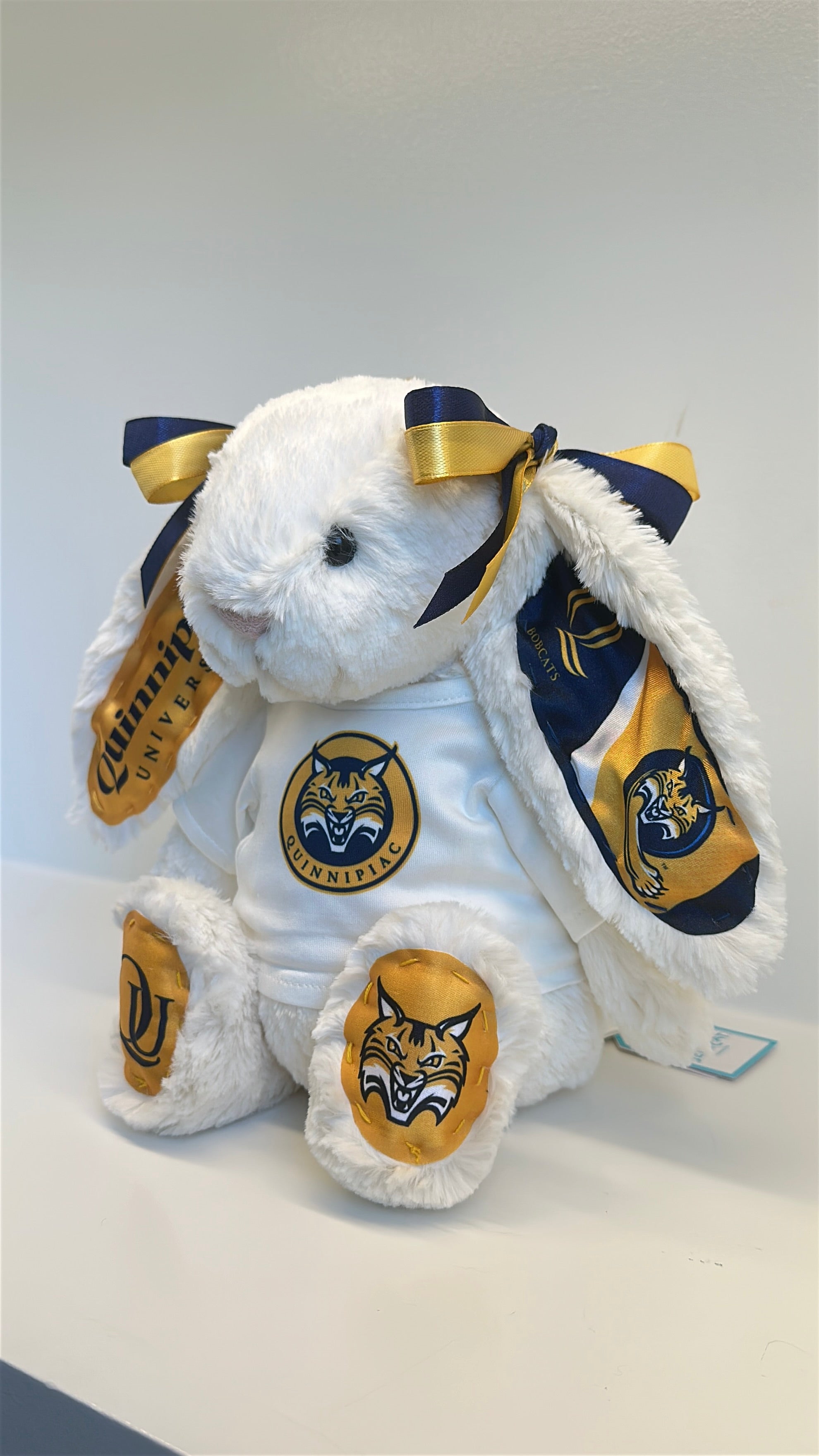 Quinnipiac Fully Custom College Jellycat Bunny