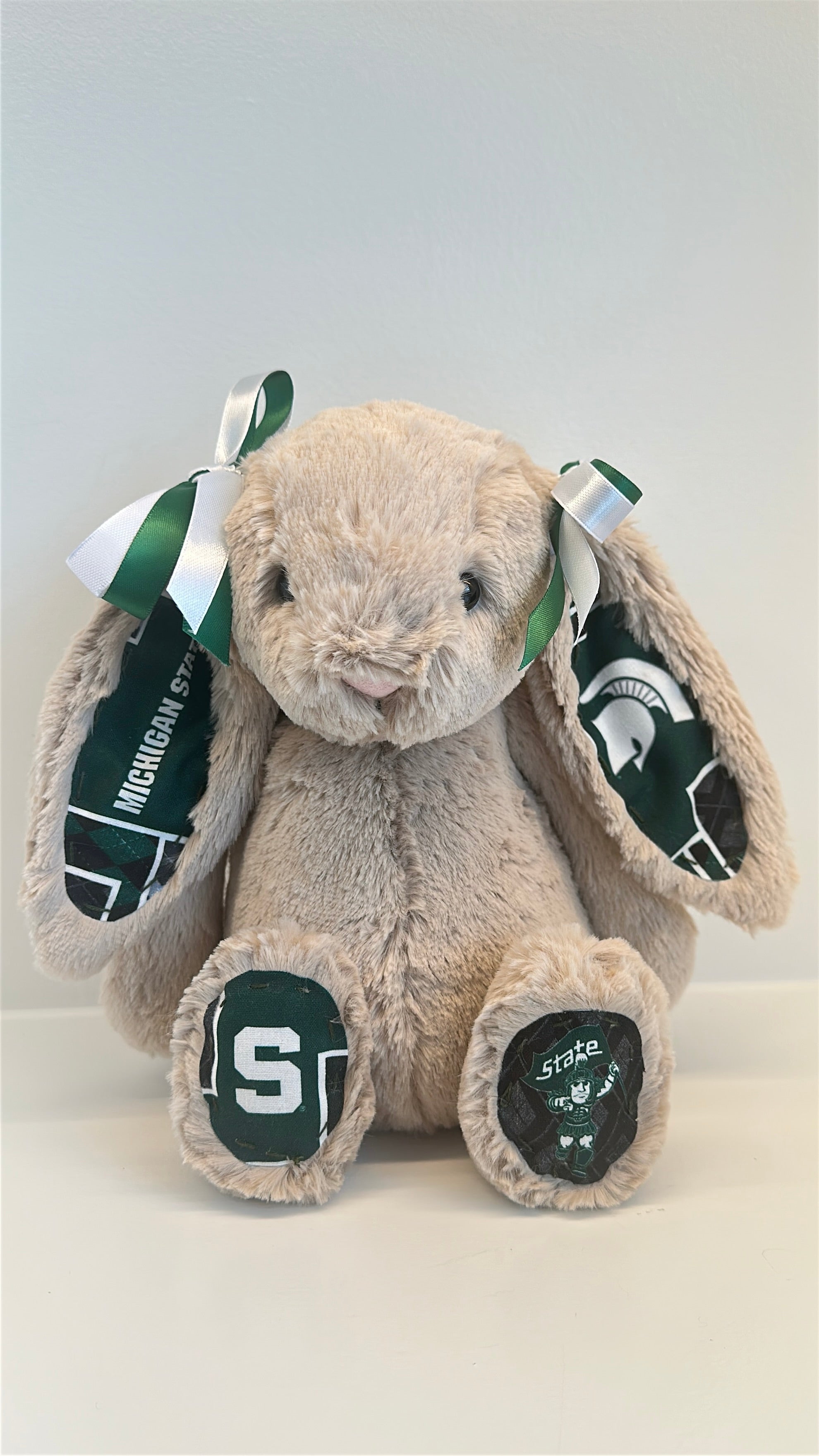 Michigan State University Custom College Jellycat Bashful Bunny