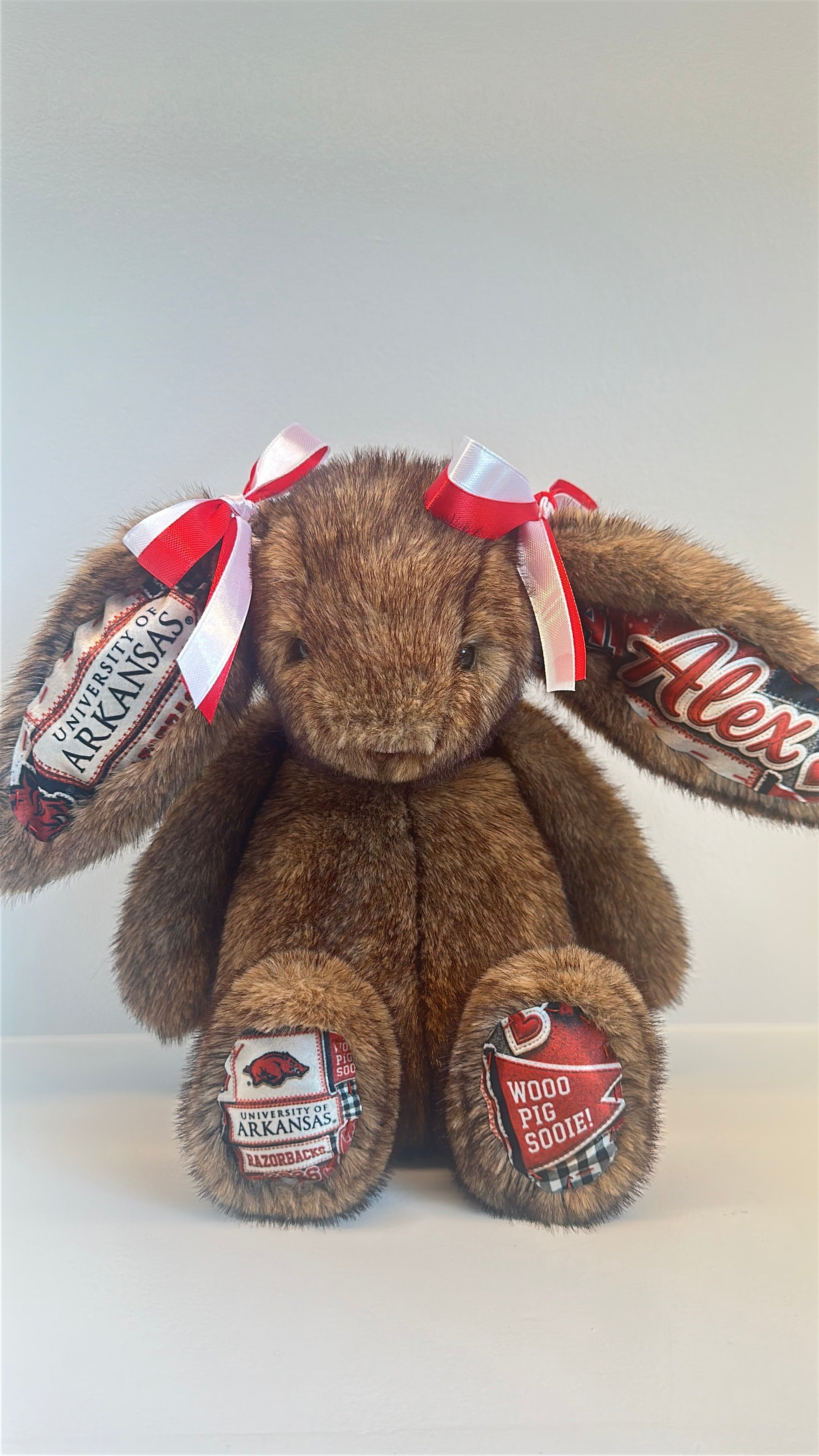 University of Arkansas Custom College Jellycat Bunny