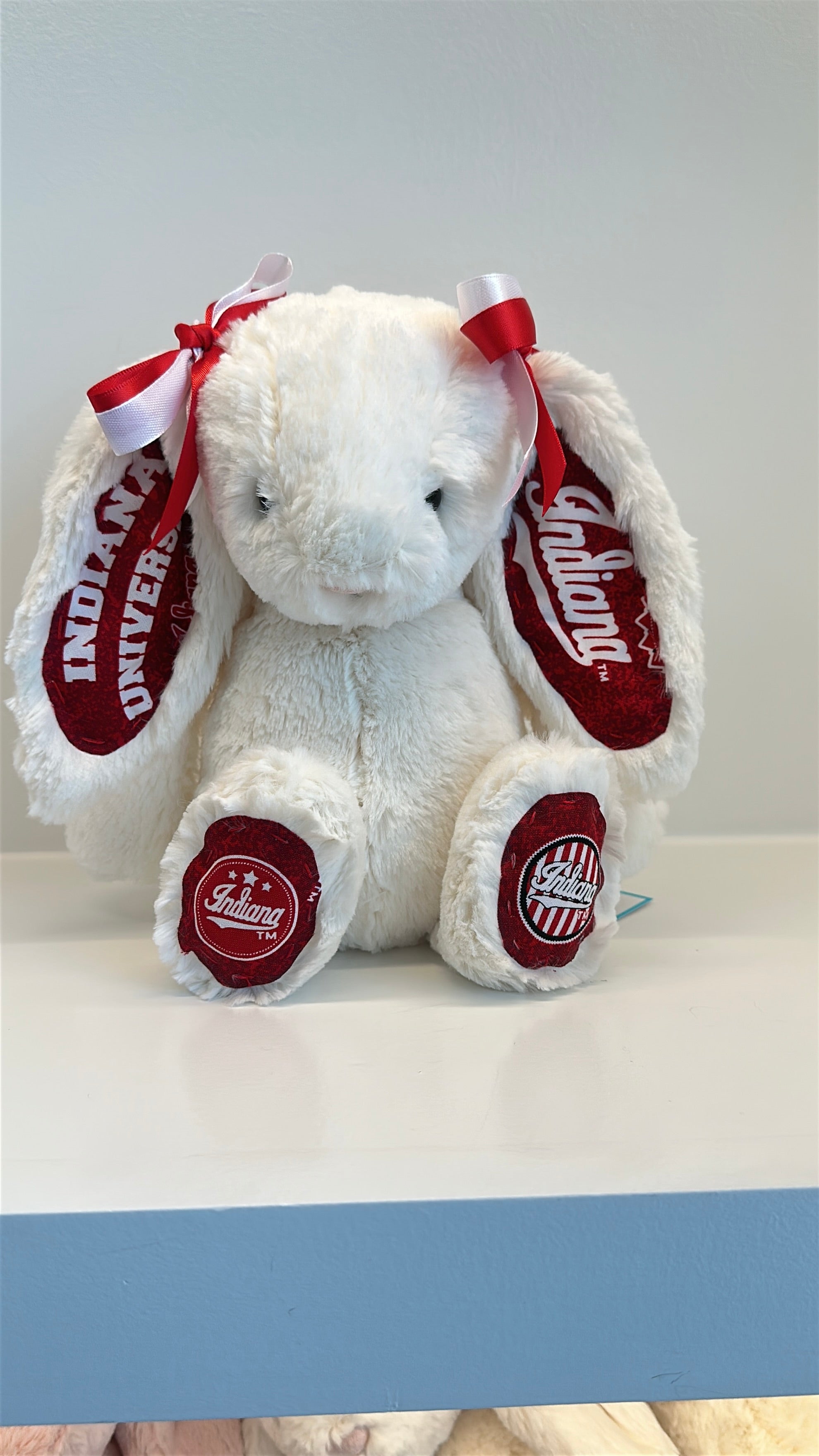 College Jellycat Bashful Bunny