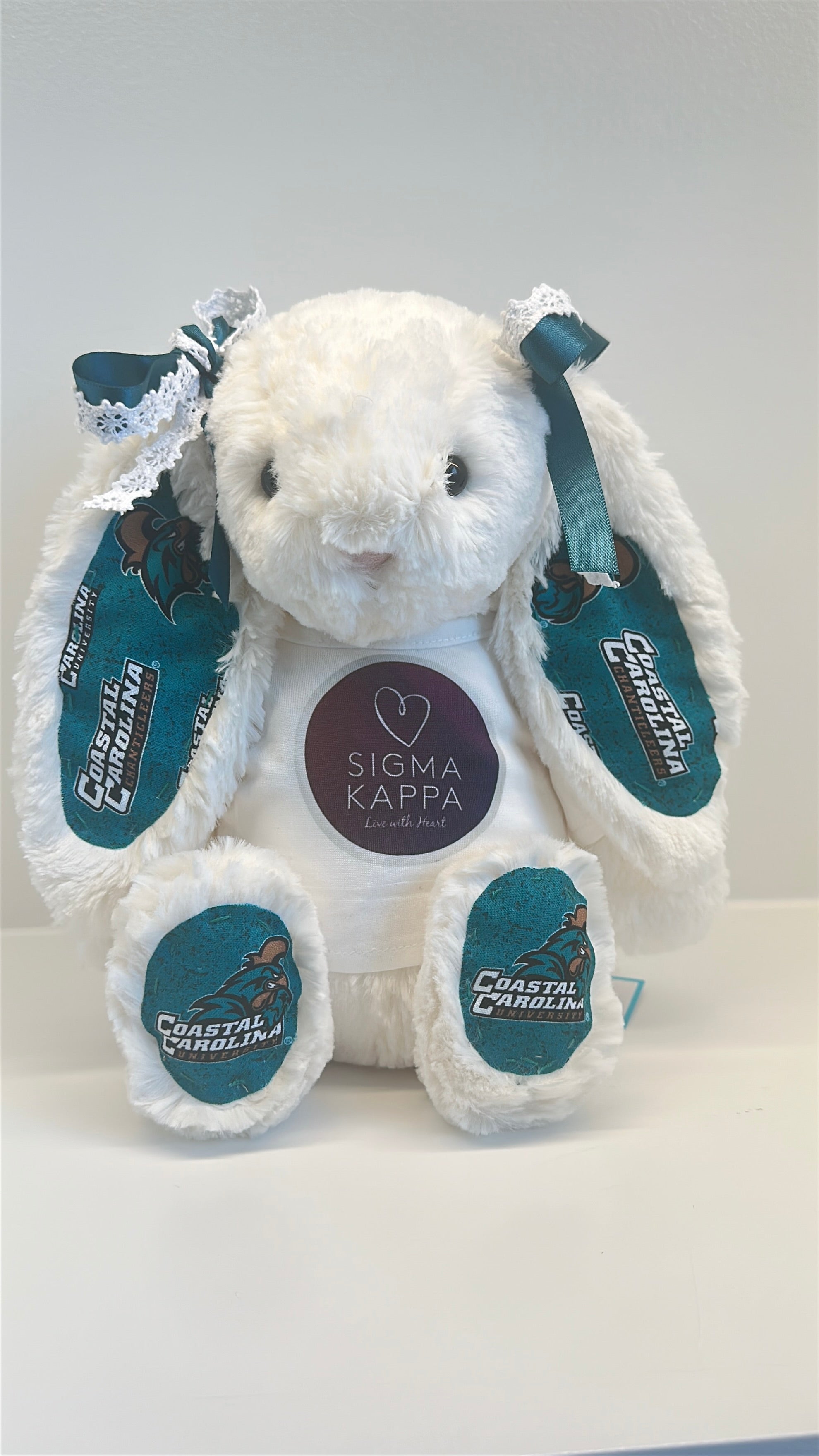College Jellycat Bashful Bunny