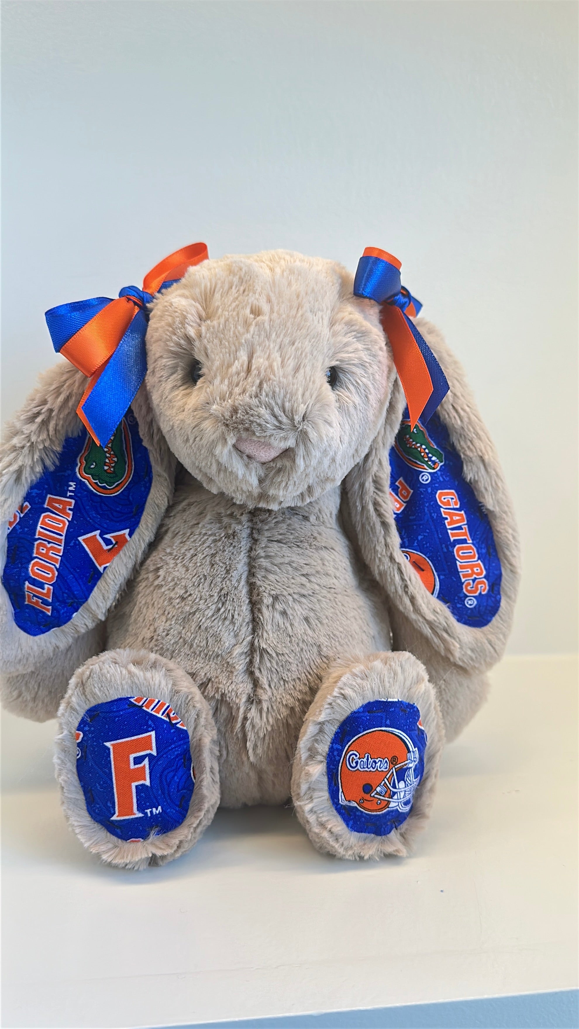 University of Florida Custom College Jellycat Bashful Bunny