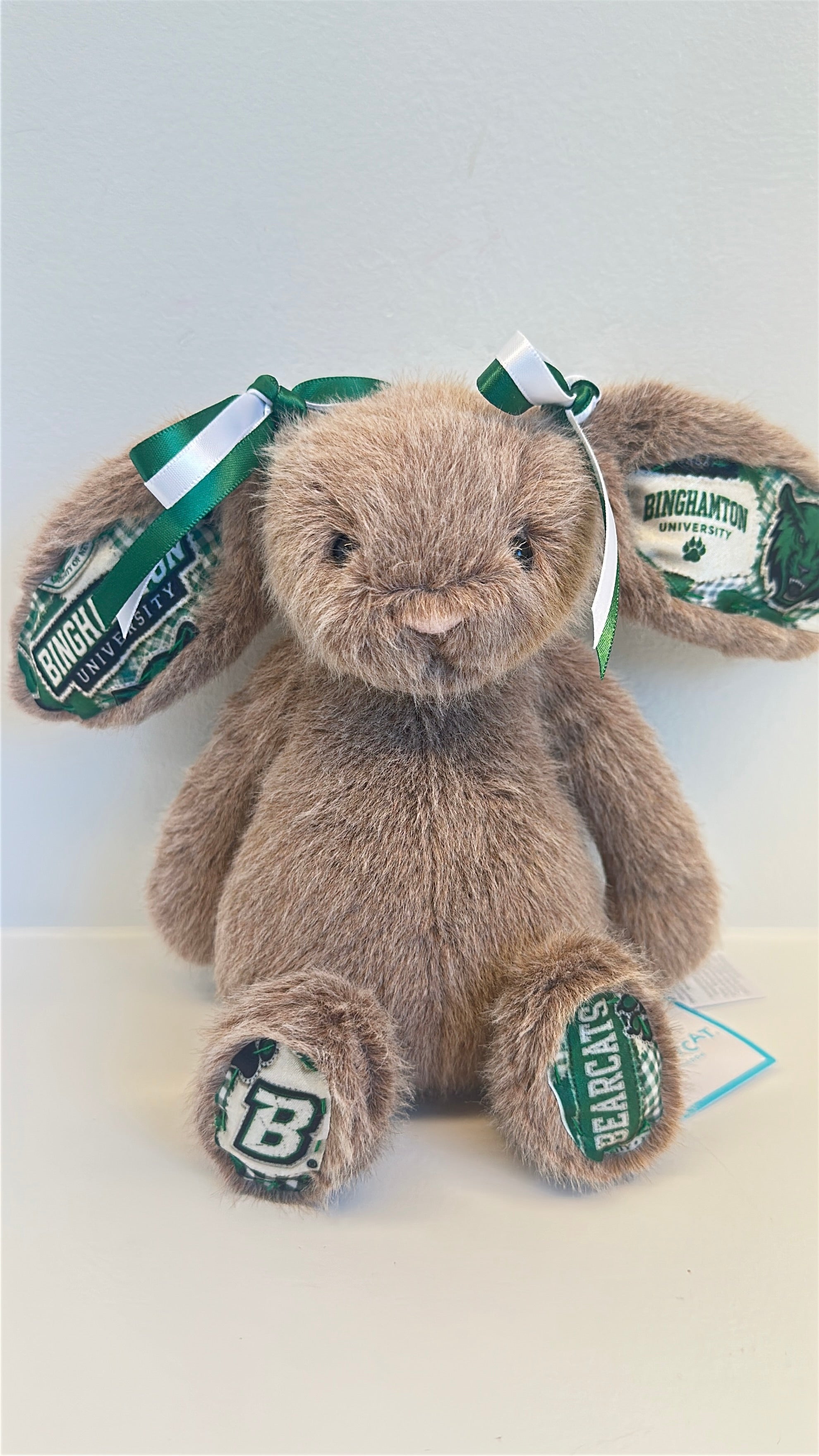 Binghamton University Fully Custom Jellycat Bunny