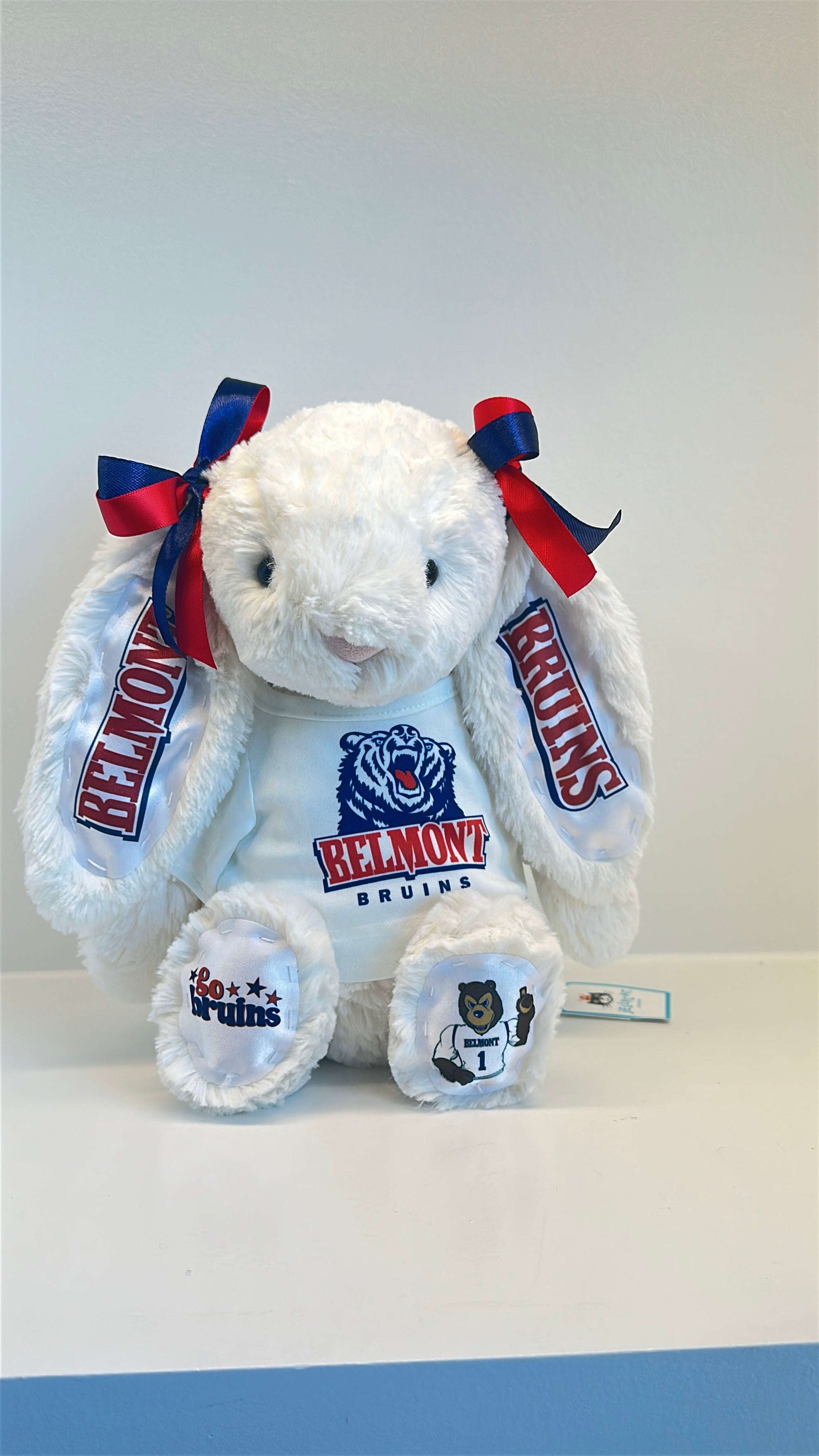 Belmont University Custom College Jellycat Bashful Bunny – 4U Dezigns