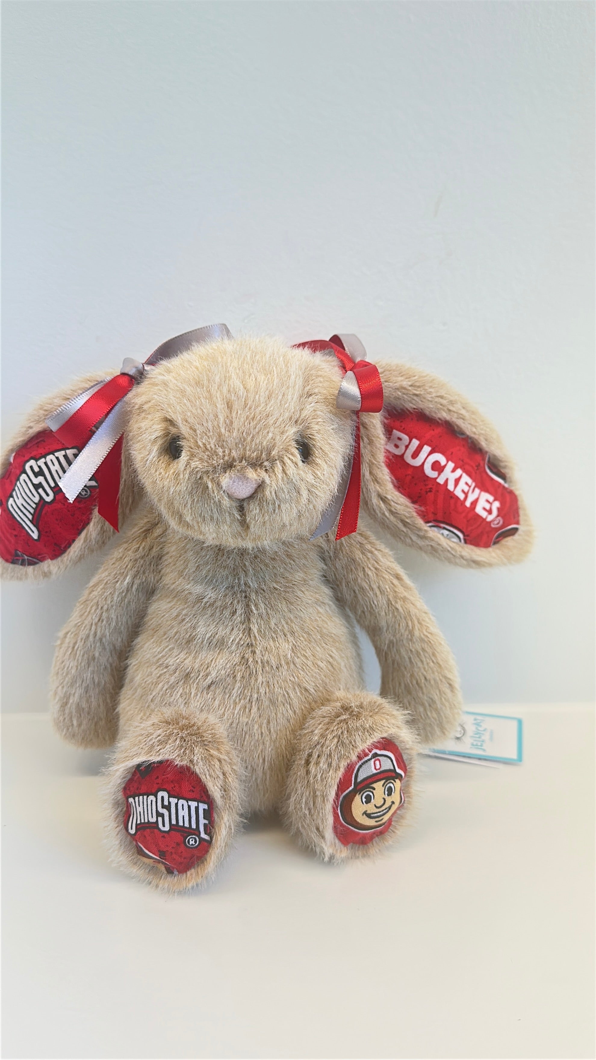 Ohio State University (OSU)  Custom College Jellycat Bashful Bunny
