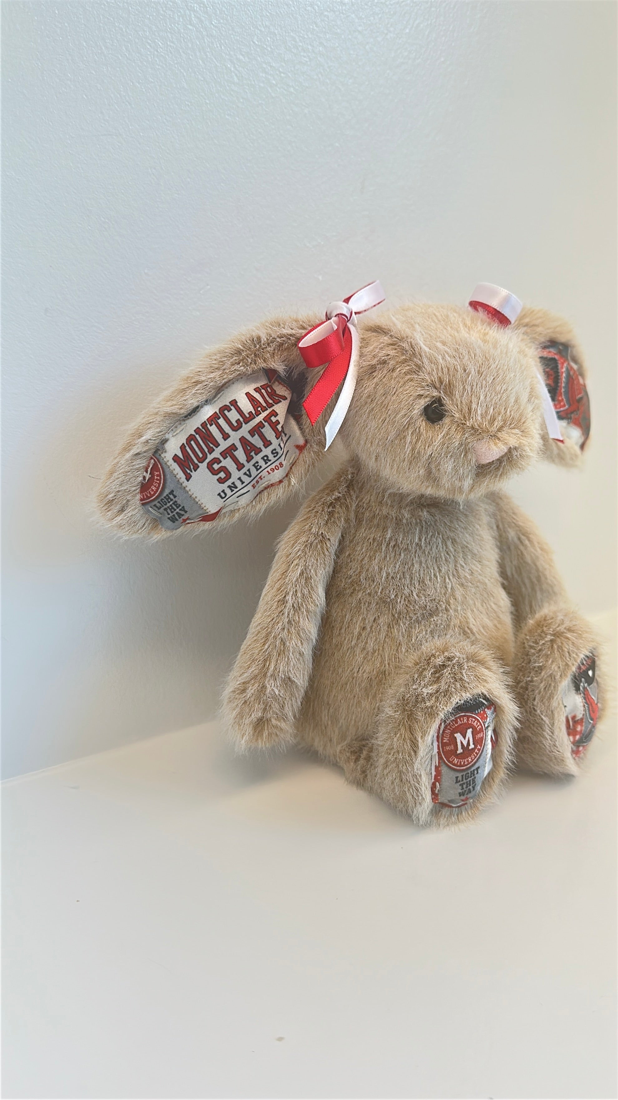 Montclair State University Fully Custom Jellycat Bunny