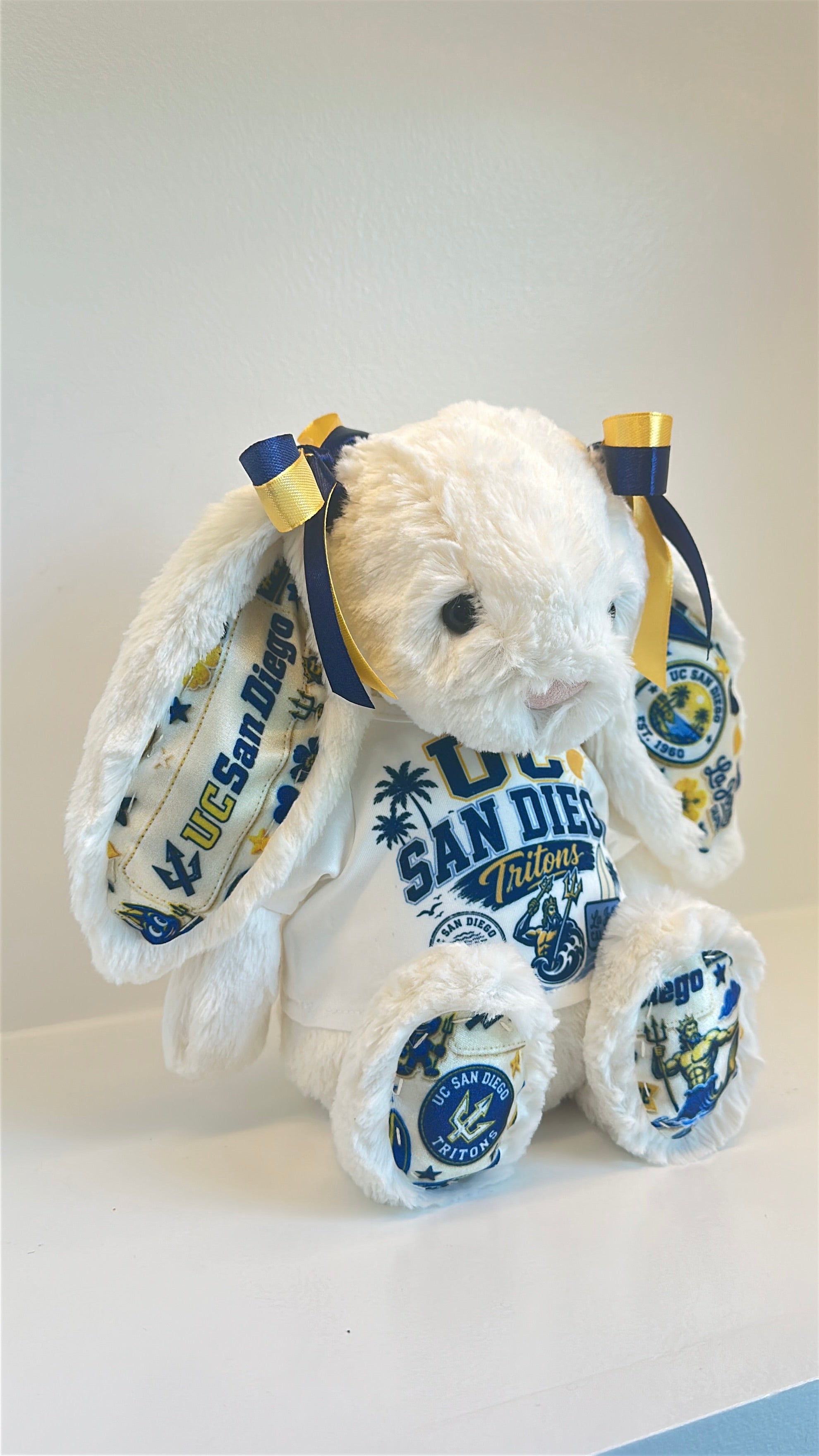 University of California San Diego (UCSD) Fully Custom College Jellycat Bunny