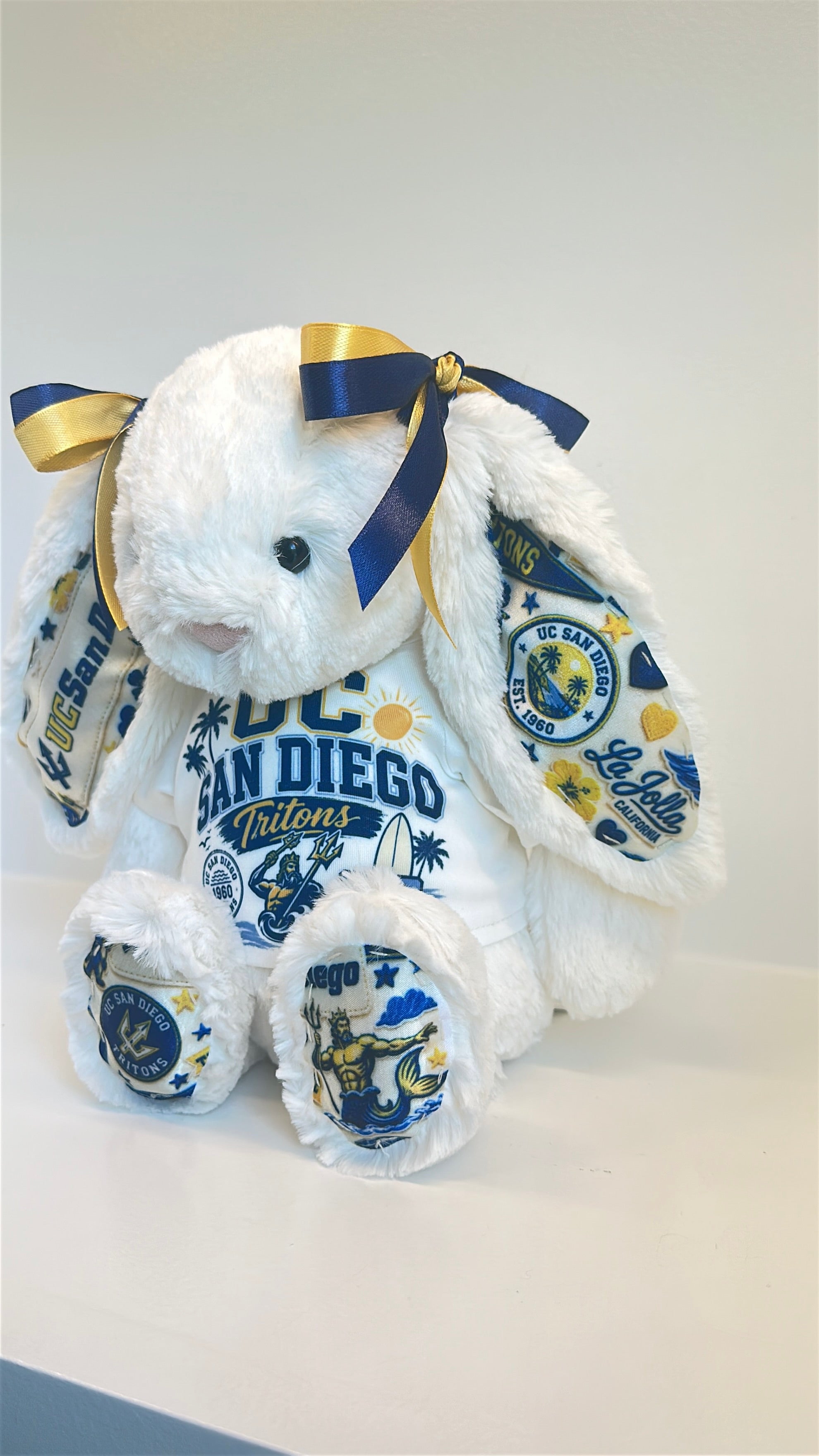 University of California San Diego (UCSD) Fully Custom College Jellycat Bunny