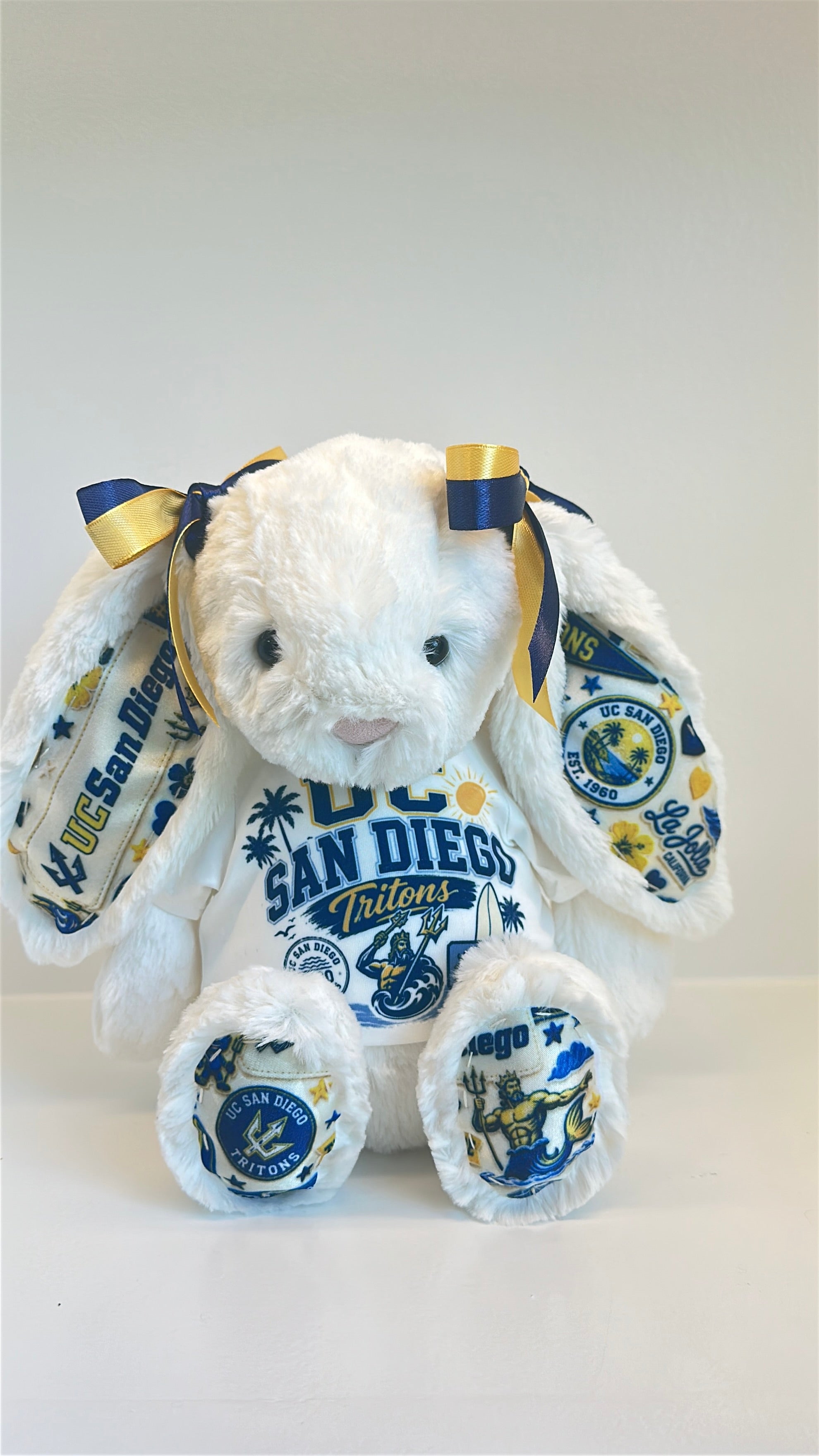 University of California San Diego (UCSD) Fully Custom College Jellycat Bunny