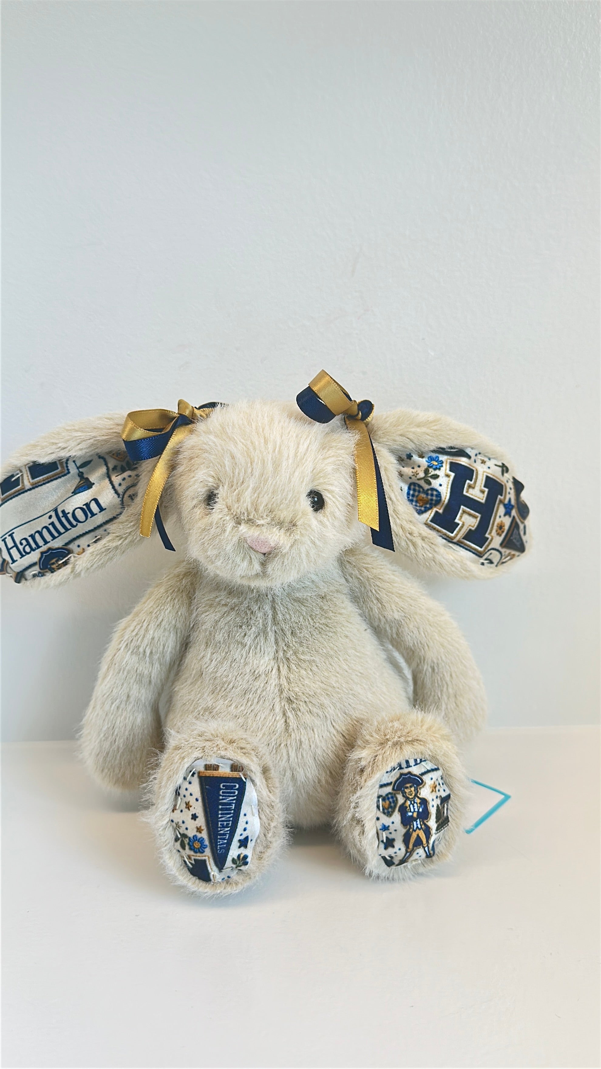 Hamilton College Fully Custom College Jellycat Bunny