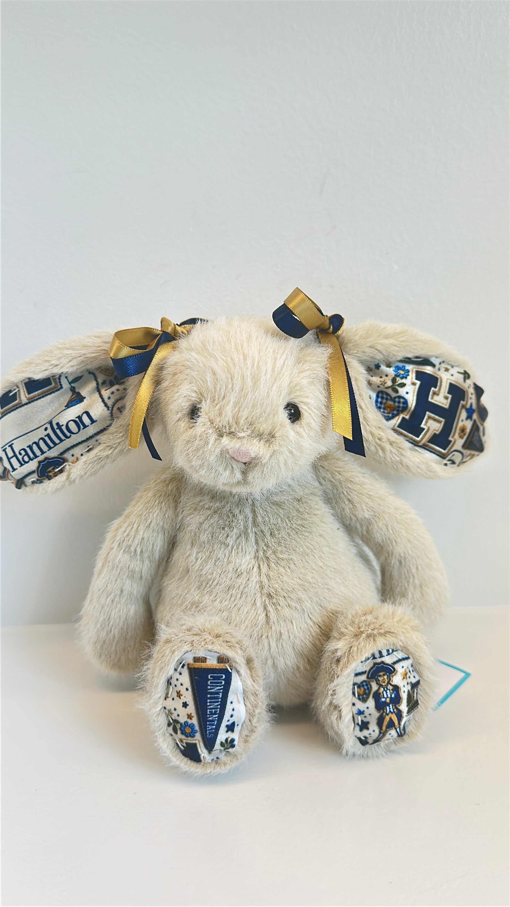 Hamilton College Fully Custom College Jellycat Bunny