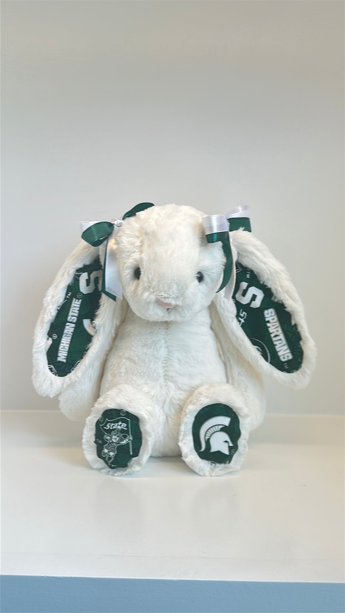 Michigan State University Custom College Jellycat Bashful Bunny