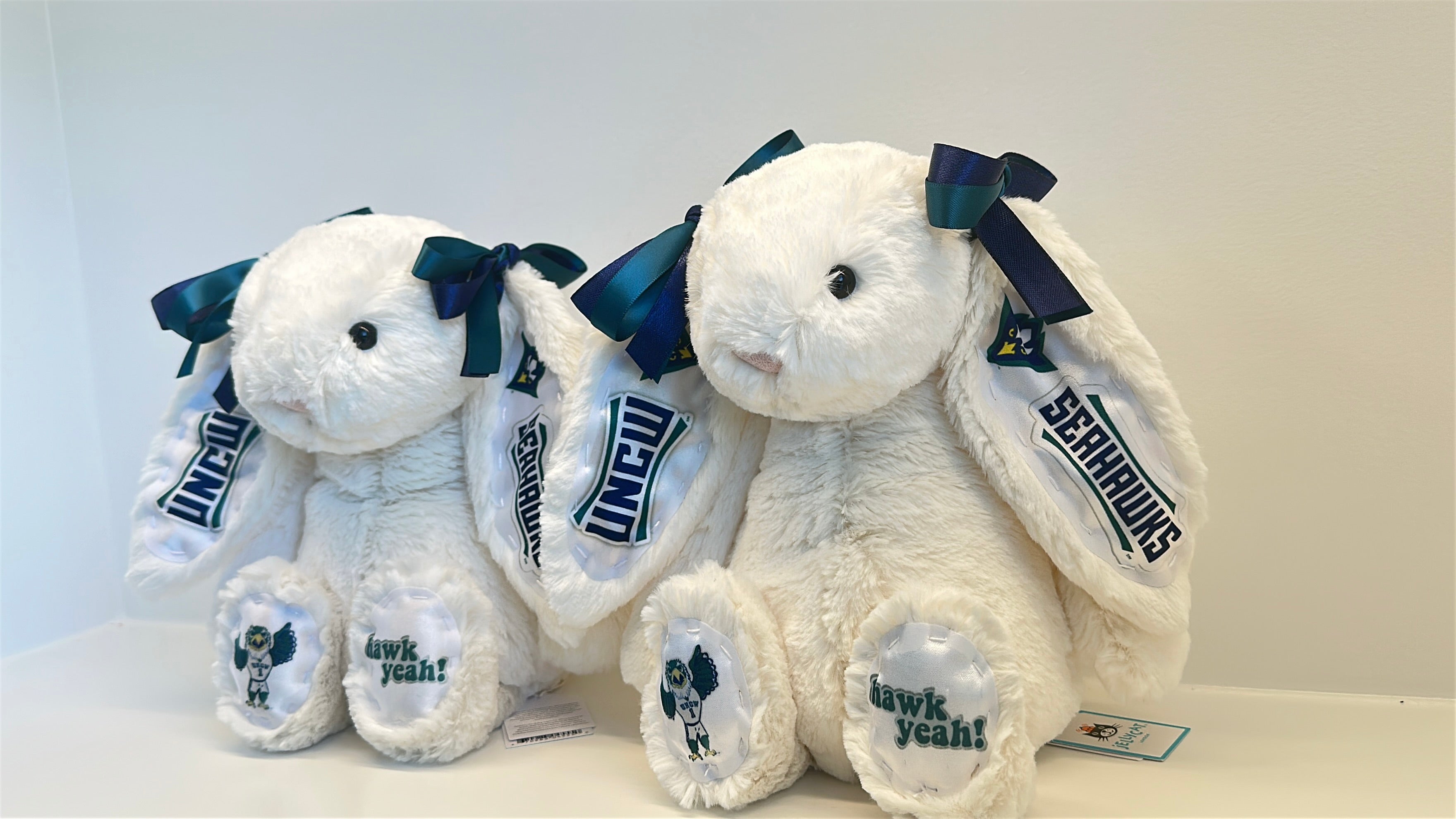 University of North Carolina Wilmington (UNCW) Custom College Jellycat Bashful Bunny