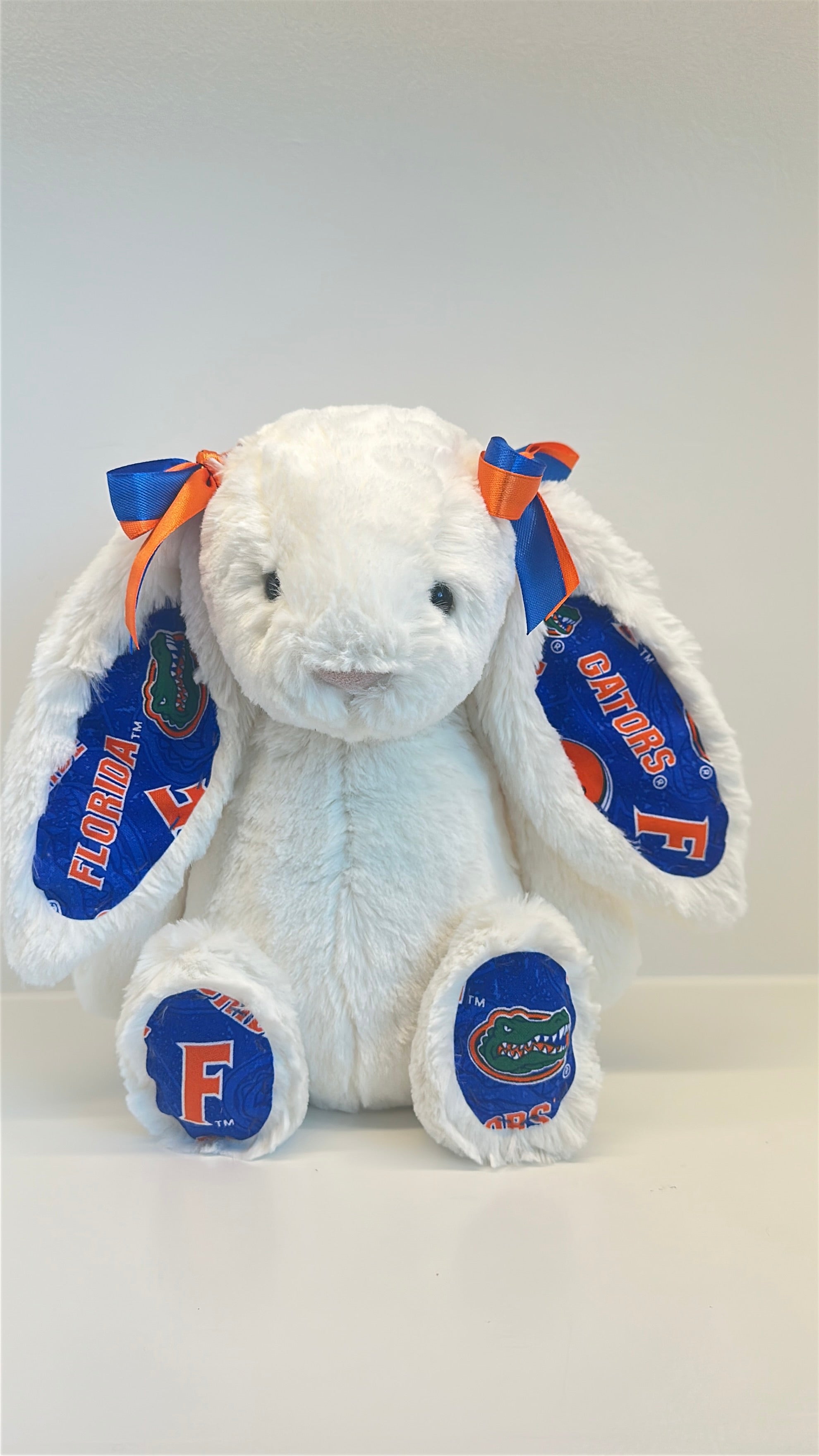 University of Florida Custom College Jellycat Bashful Bunny