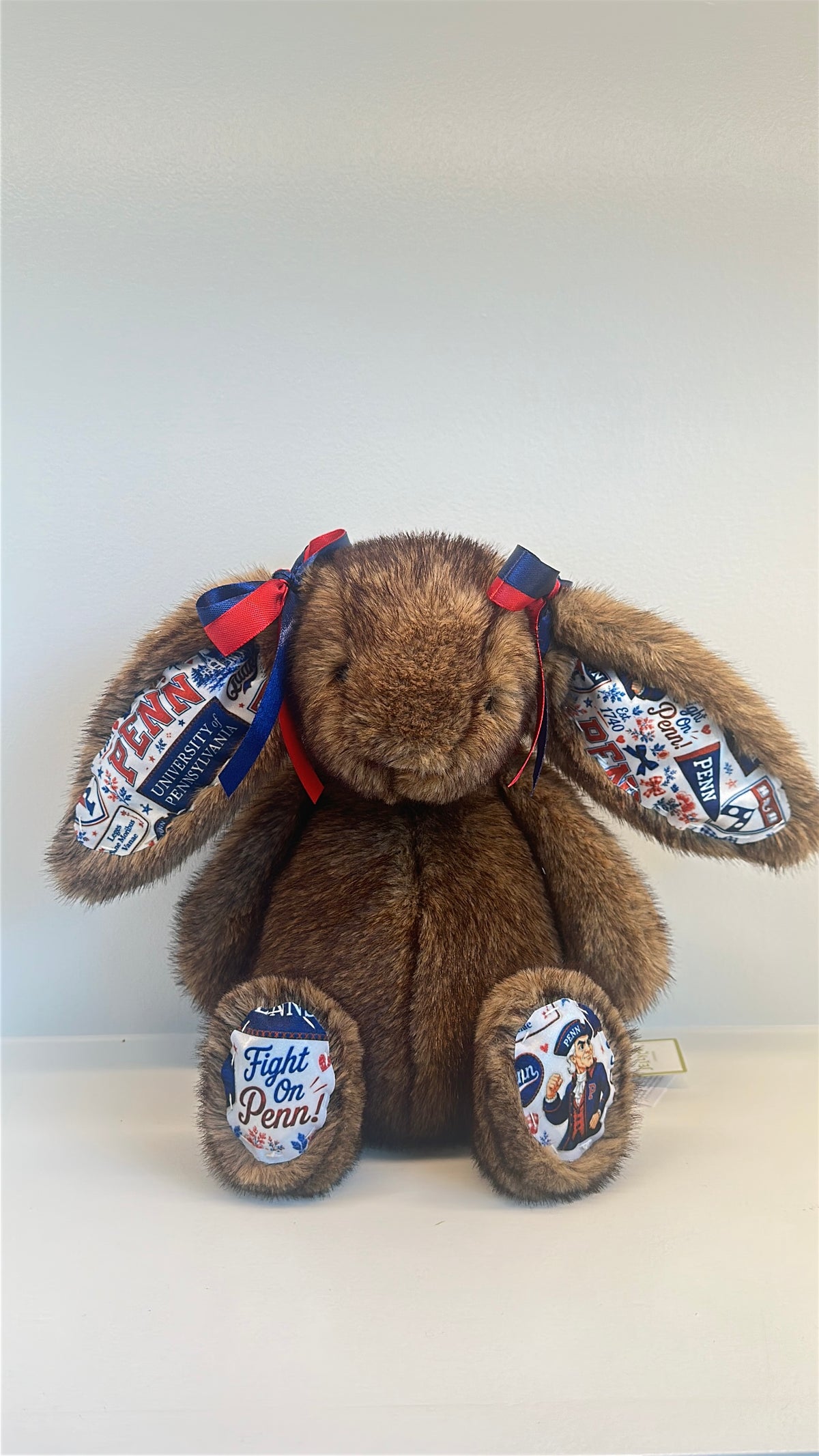 University of Pennslyvania Fully Custom College Jellycat Bunny
