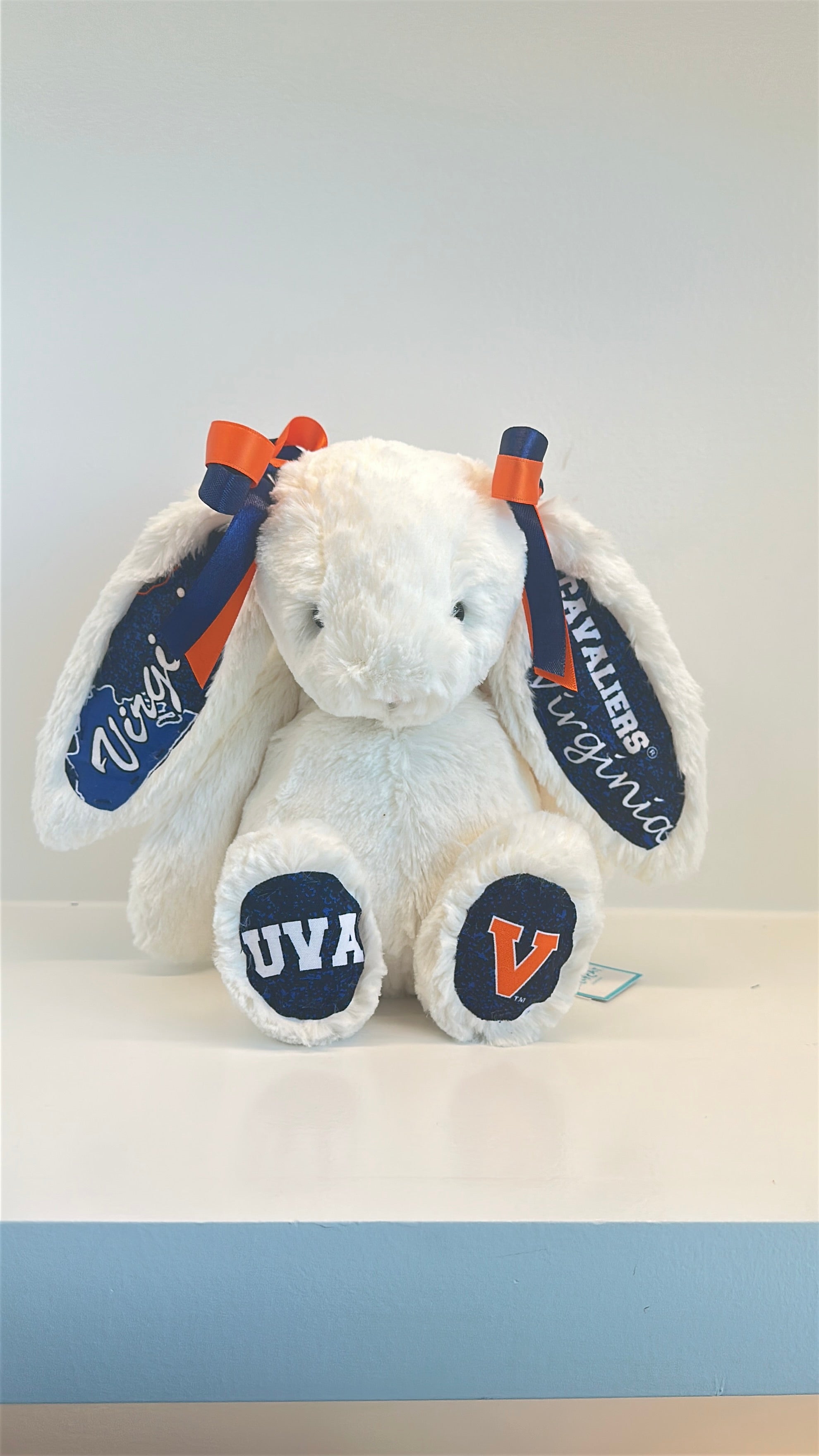 University of Virginia Licensed College Jellycat Bunny