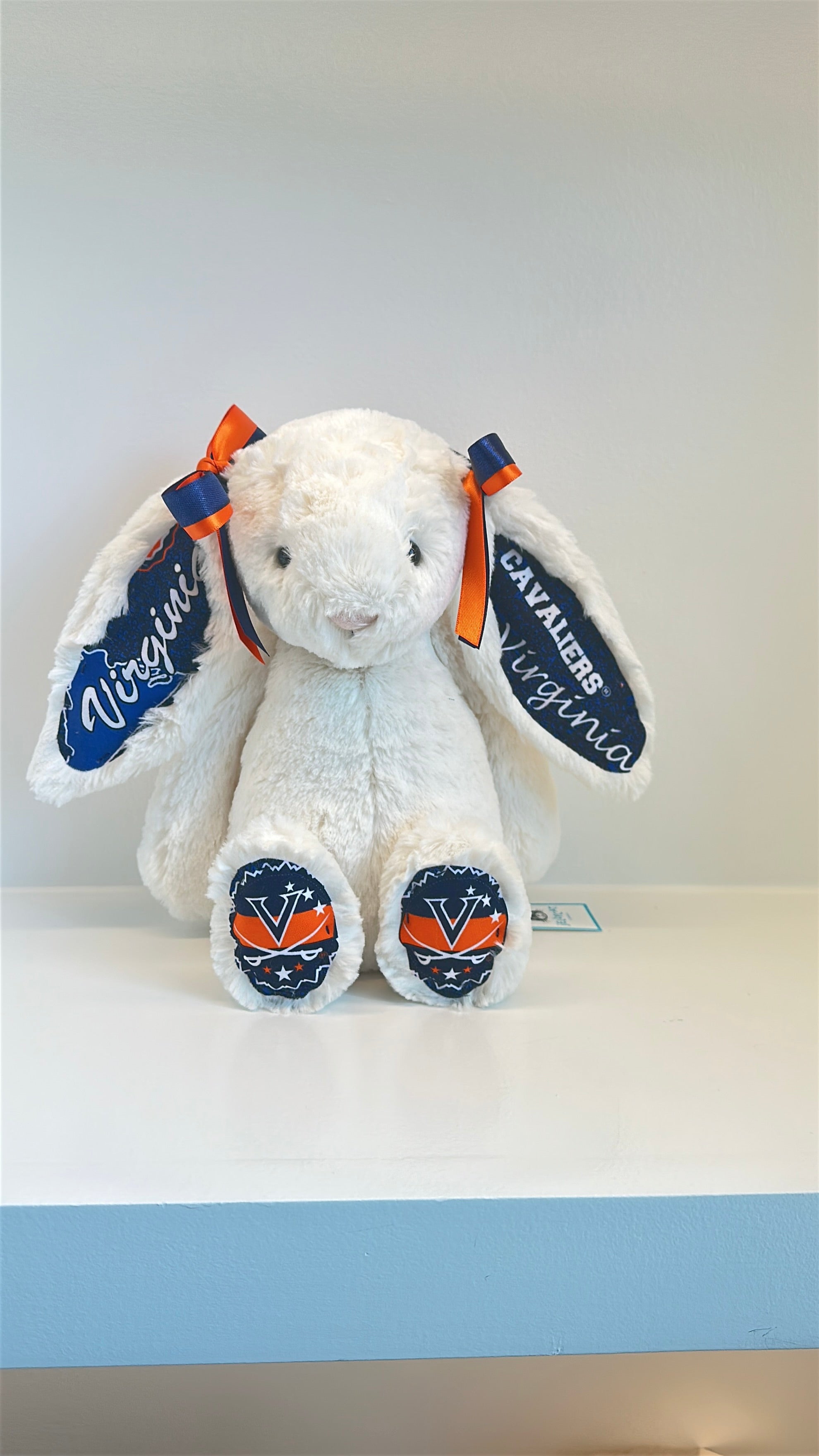 University of Virginia Licensed College Jellycat Bunny