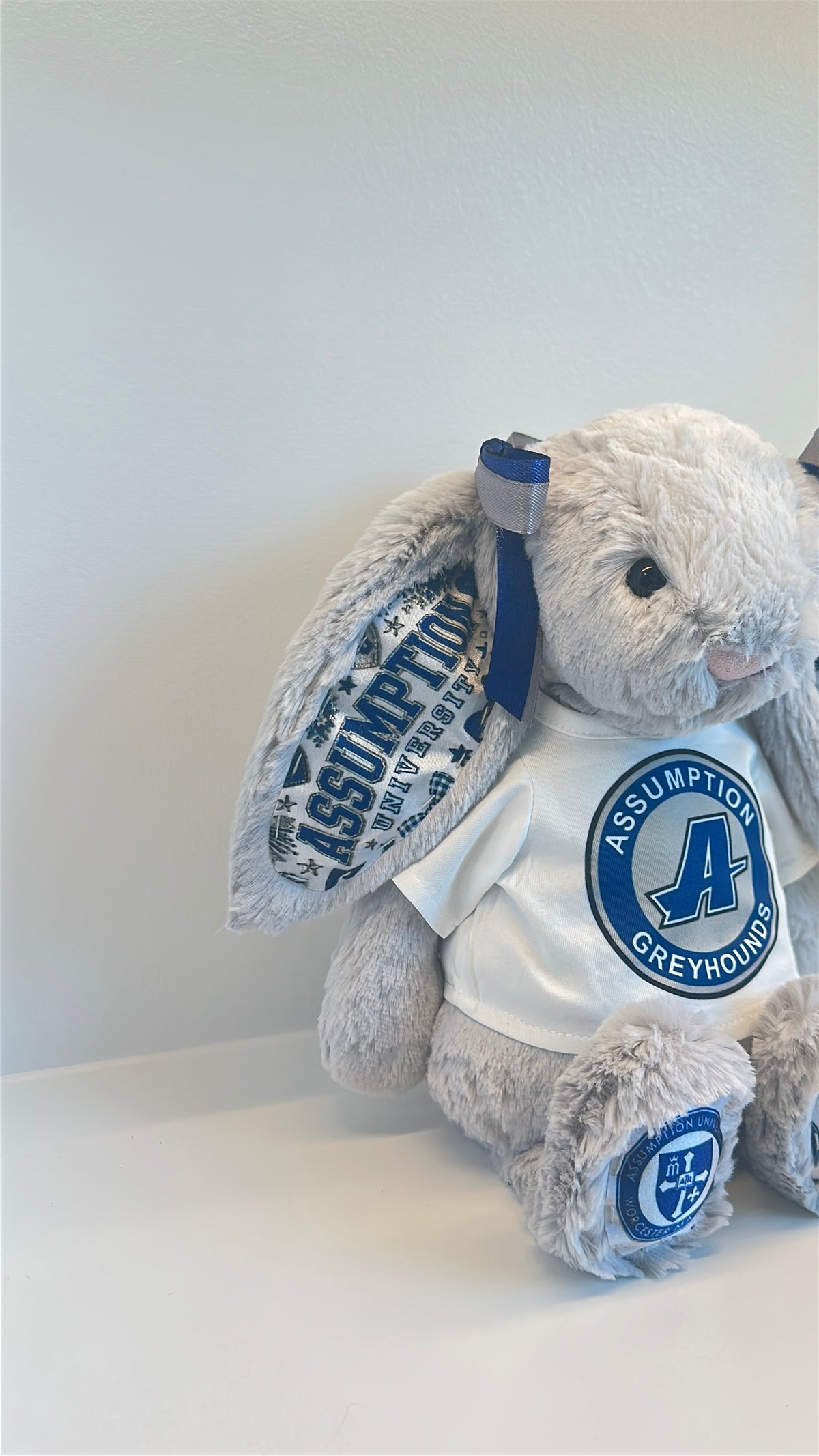 Assumption University Fully Custom Jellycat Bunny