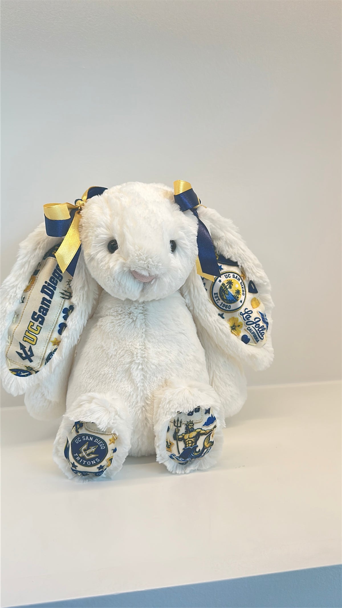 University of California San Diego (UCSD) Fully Custom College Jellycat Bunny