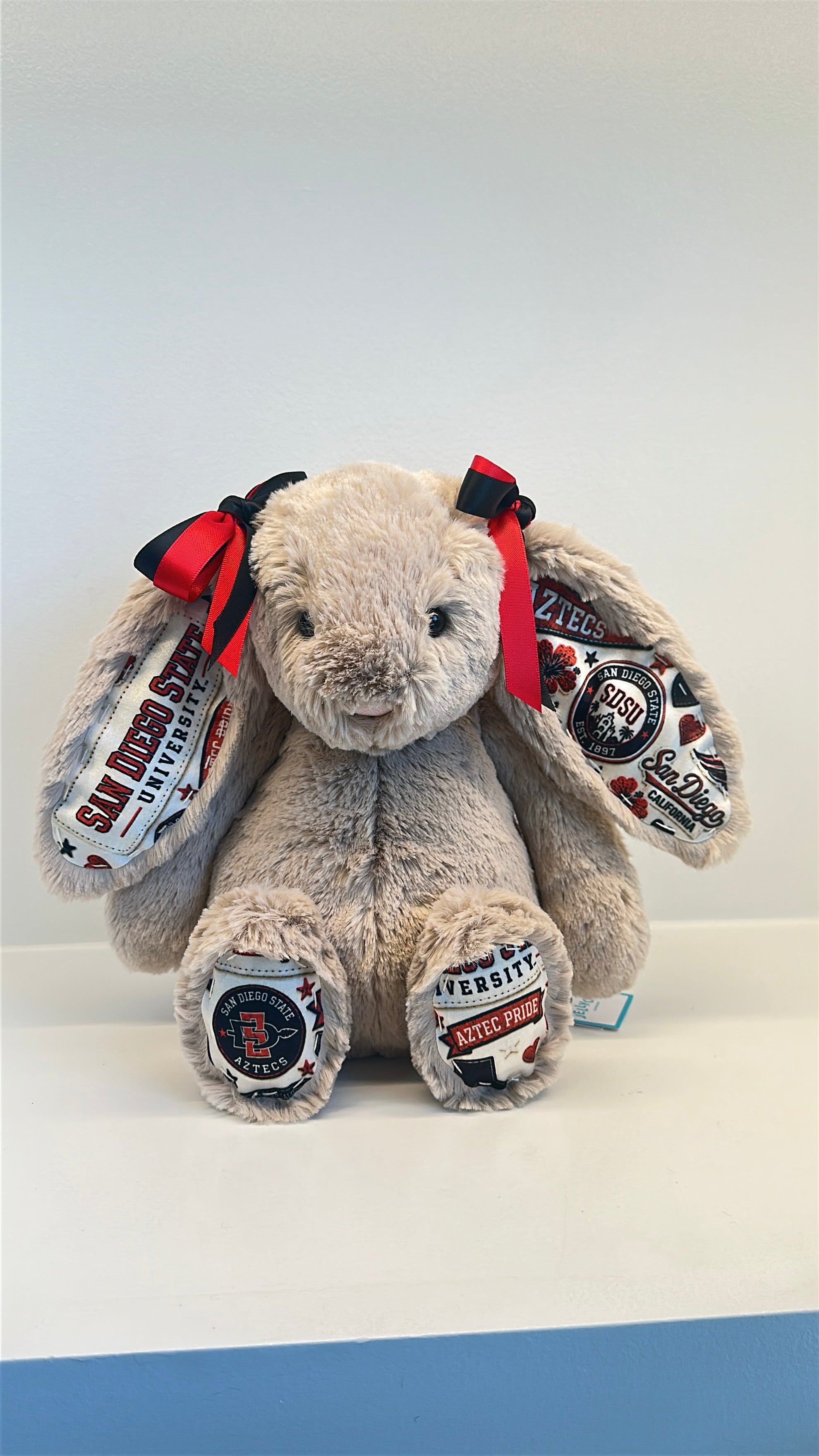 San Diego State University Fully Custom Jellycat Bunny
