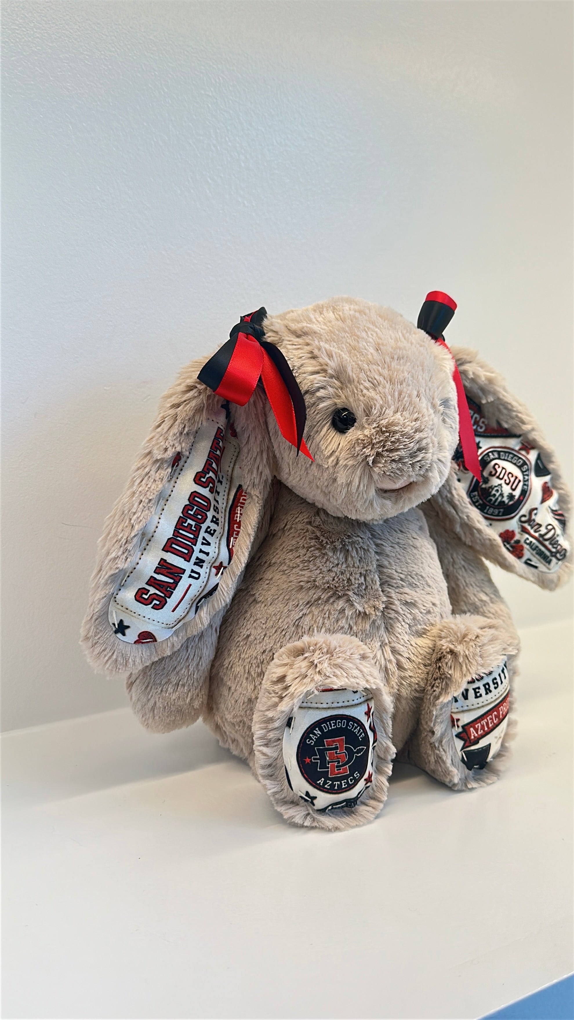 San Diego State University Fully Custom Jellycat Bunny