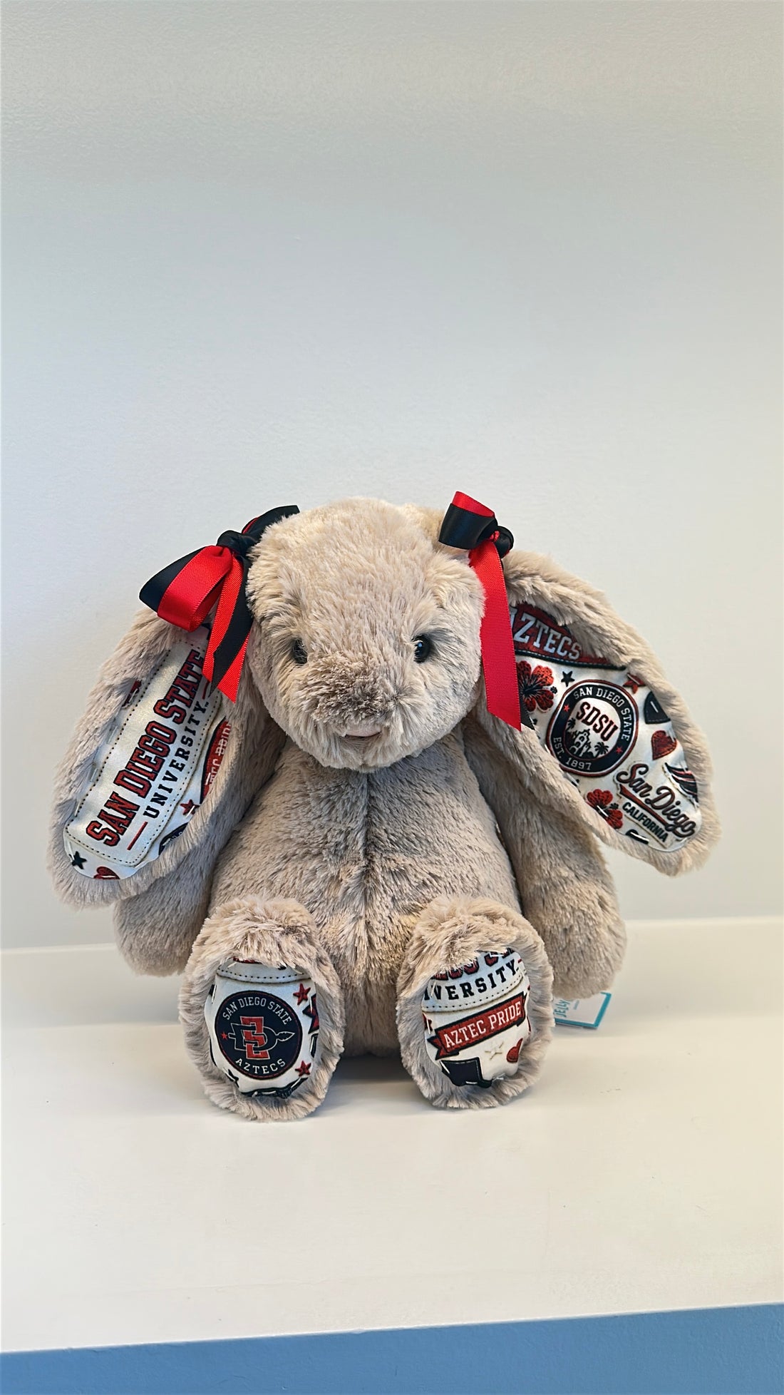 San Diego State University Fully Custom Jellycat Bunny