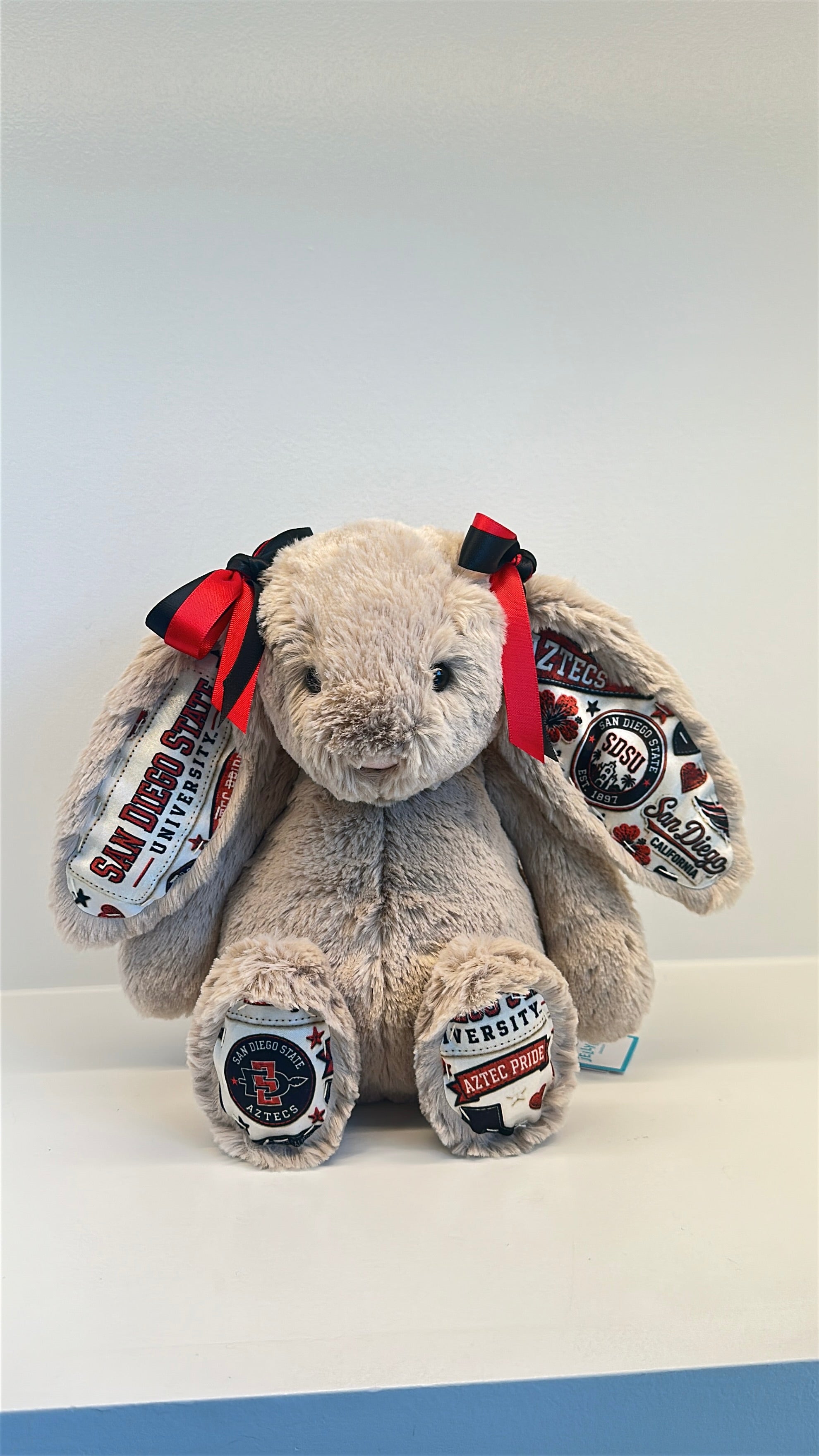 San Diego State University Fully Custom Jellycat Bunny