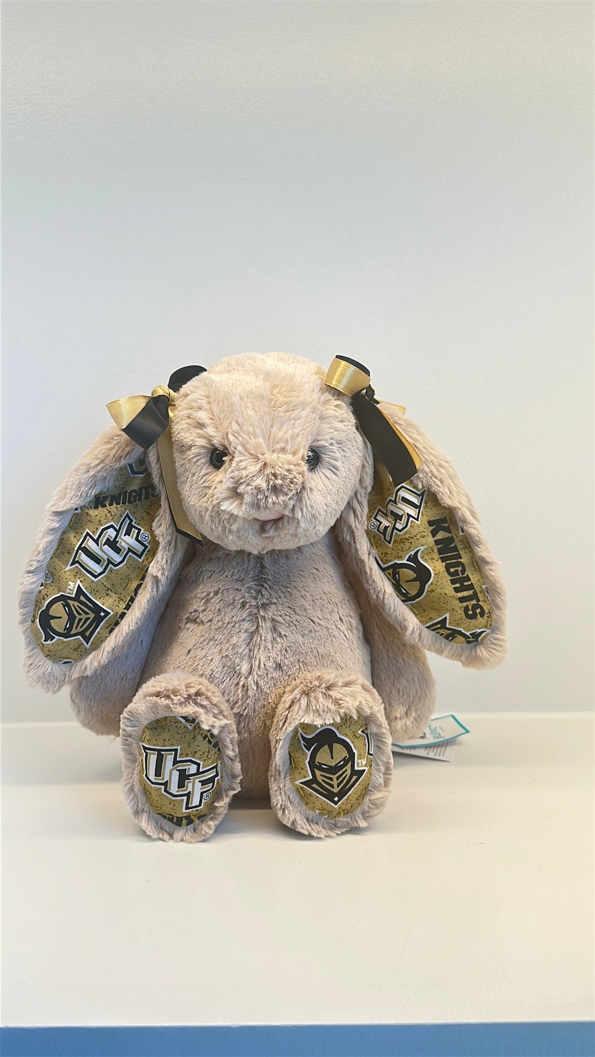 University of Central Florida (UCF) College Jellycat Bunny