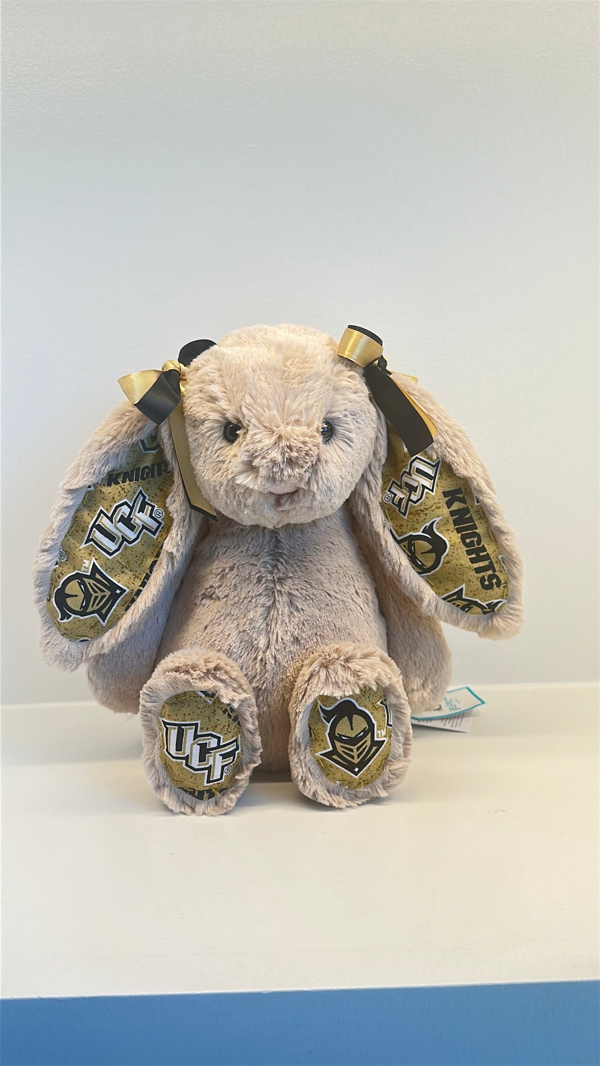 University of Central Florida (UCF) College Jellycat Bunny