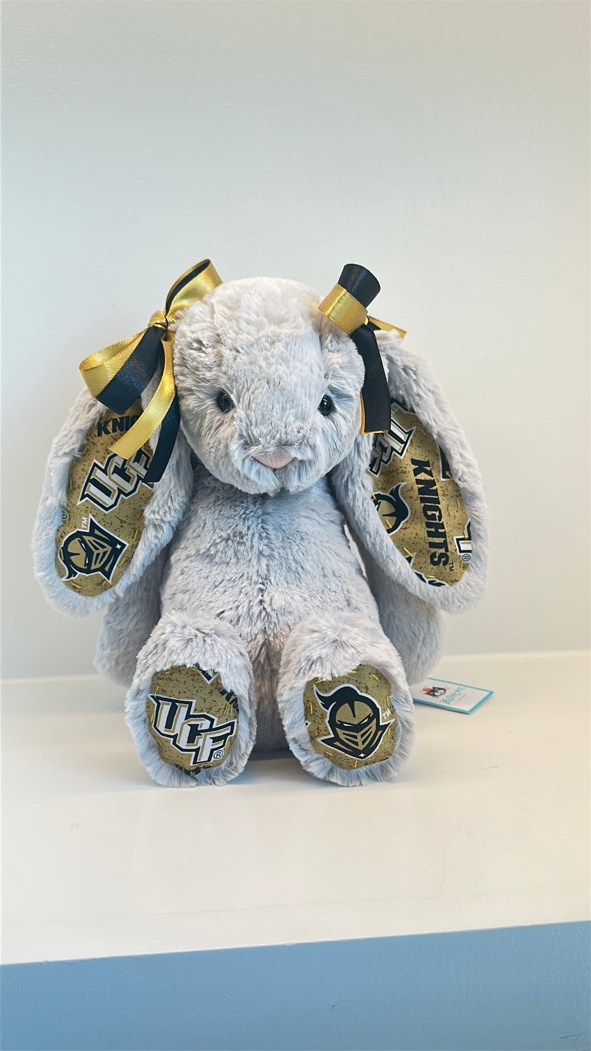 University of Central Florida (UCF) College Jellycat Bunny
