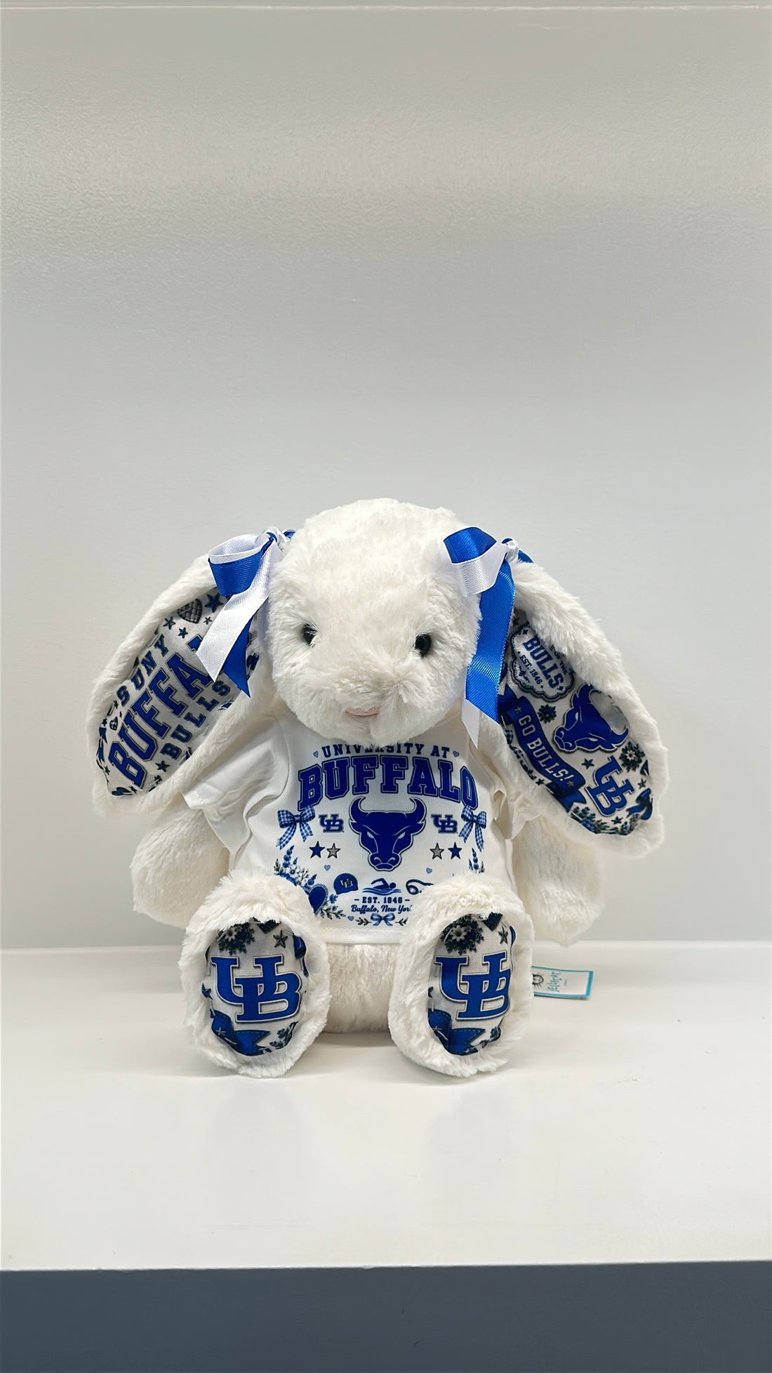 University at Buffalo (SUNY) Fully Custom Jellycat Bunny