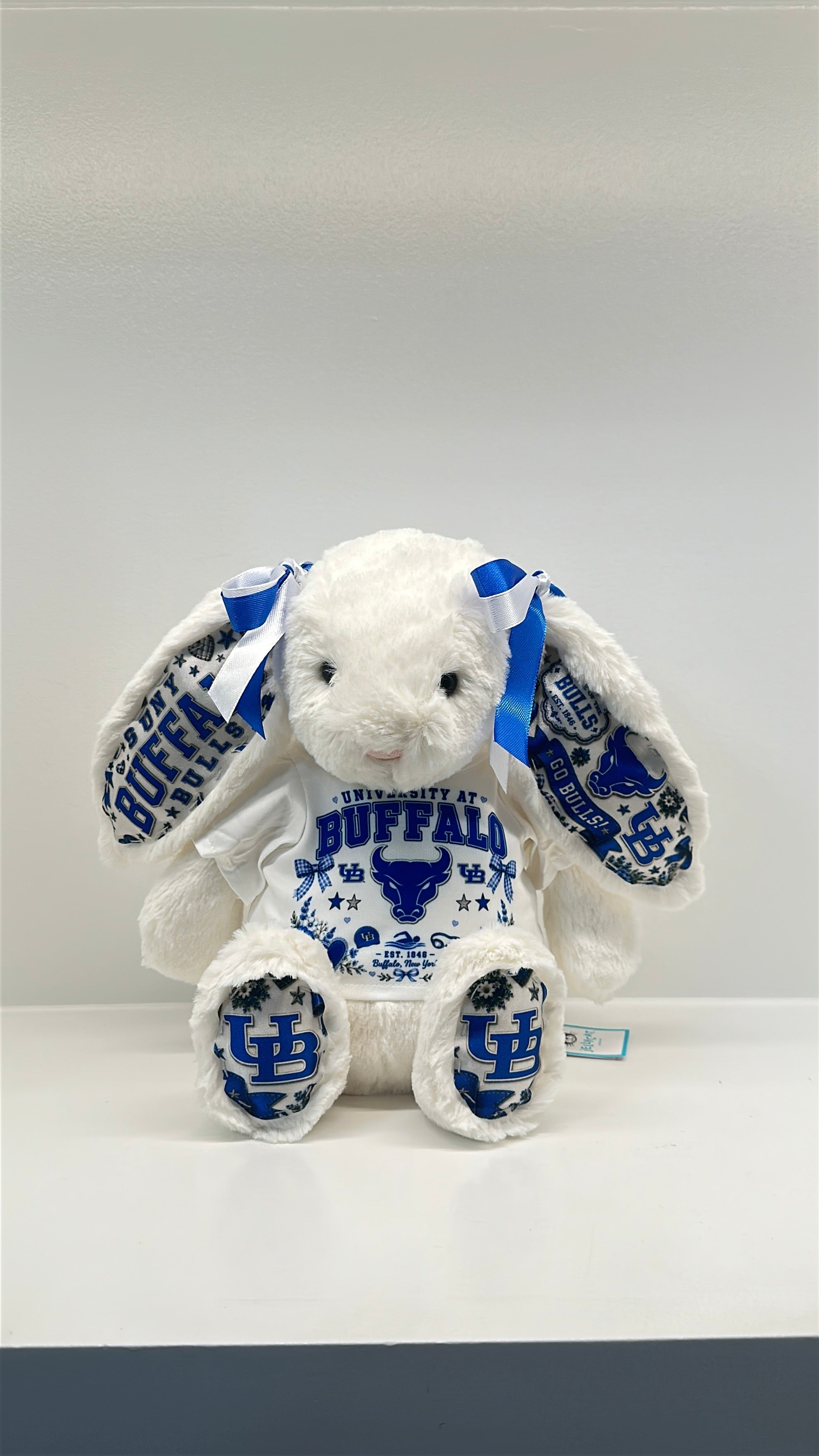 University at Buffalo (SUNY) Fully Custom Jellycat Bunny