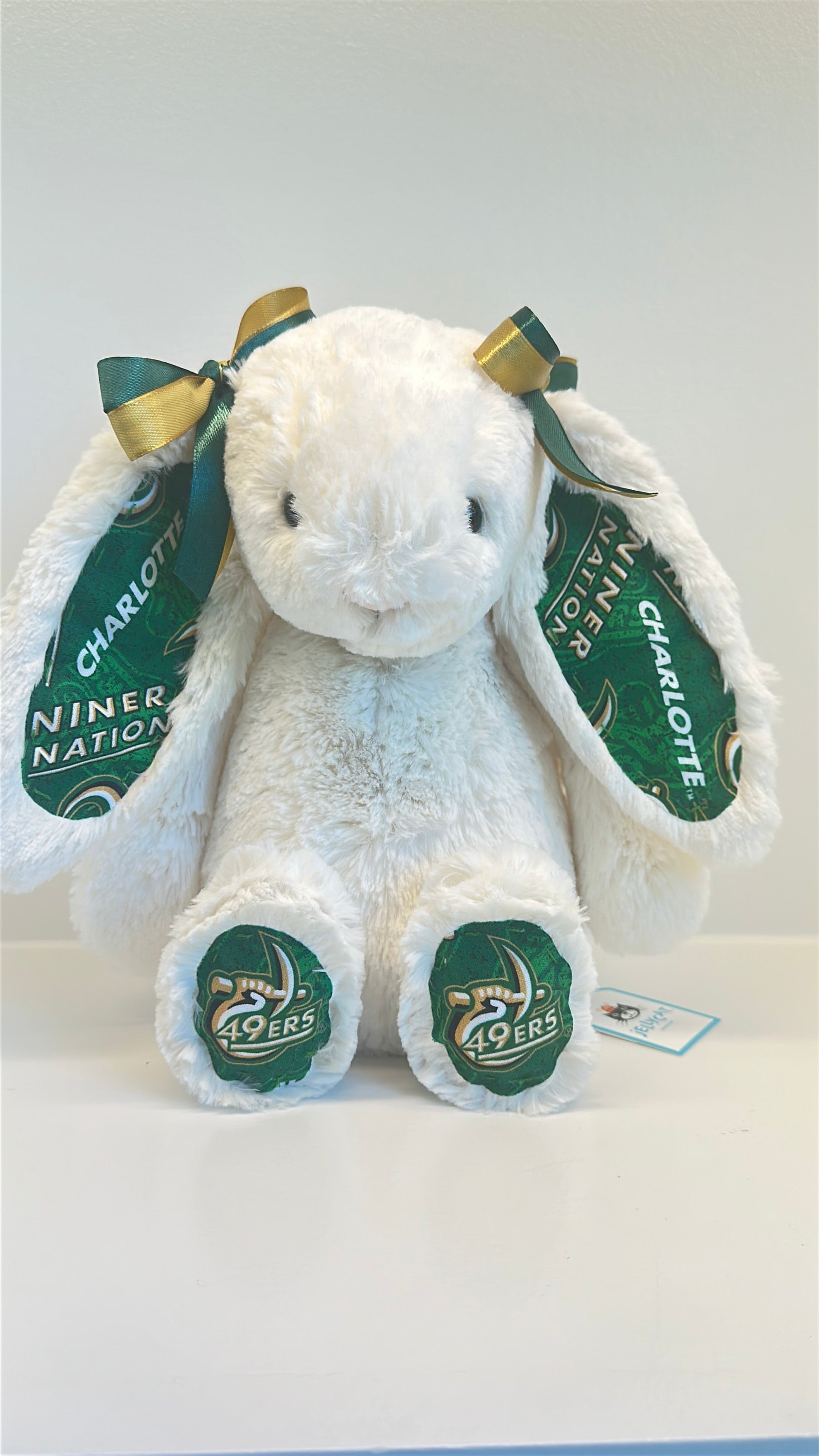 University of North Carolina at Charlotte (UNC Charlotte) College Jellycat Bunny