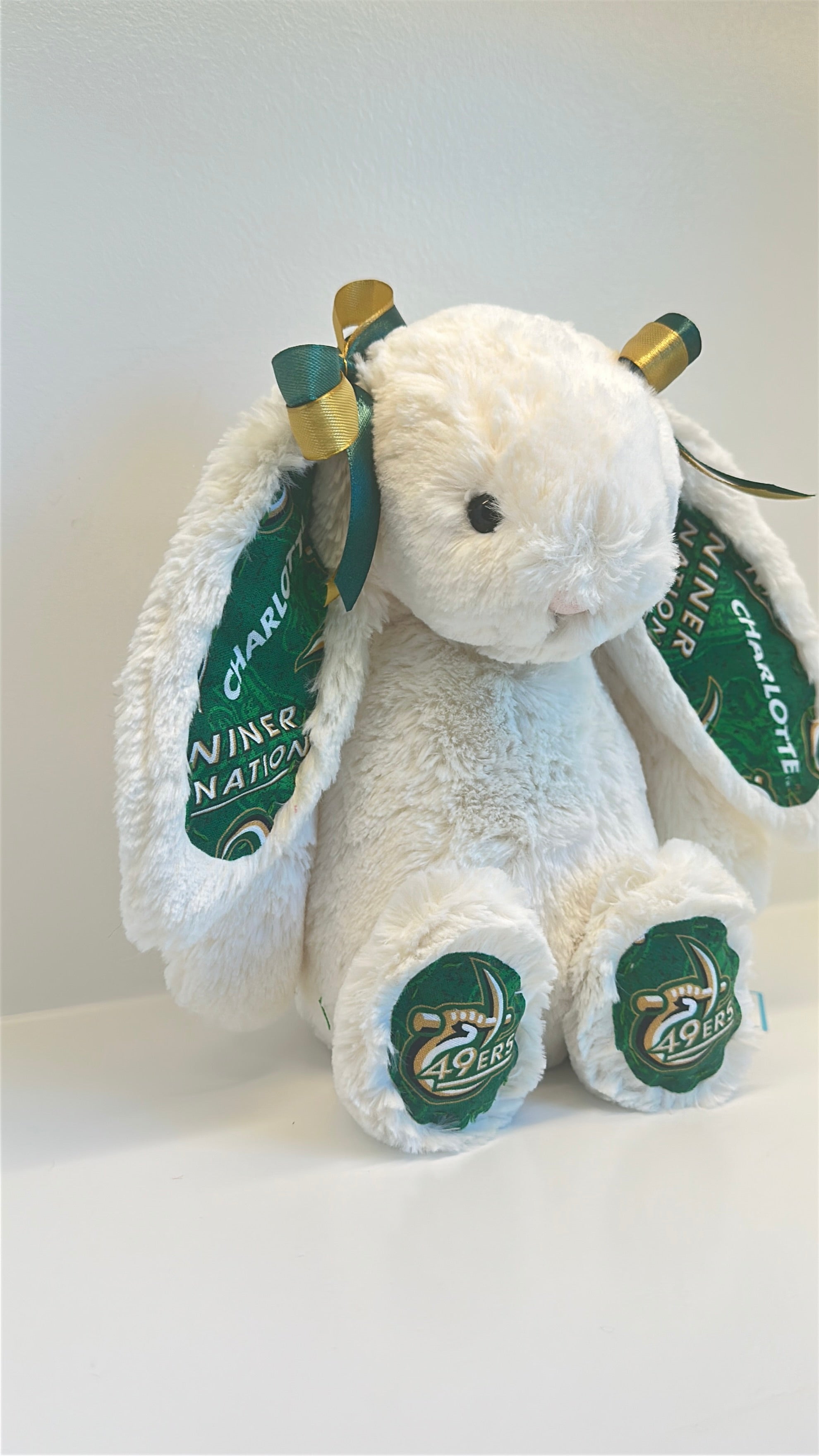 University of North Carolina at Charlotte (UNC Charlotte) College Jellycat Bunny