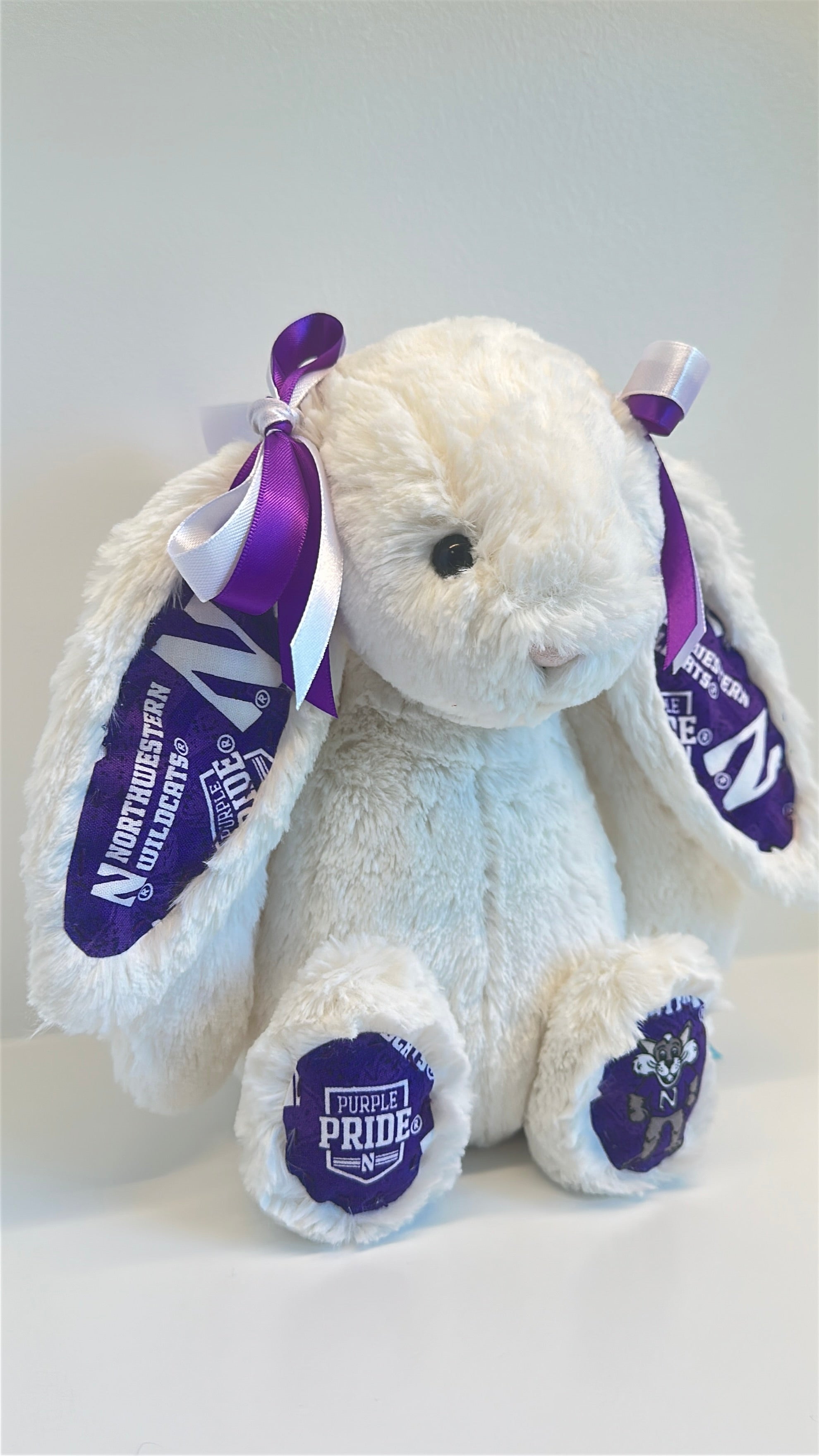 Northwestern University College Jellycat Bunny
