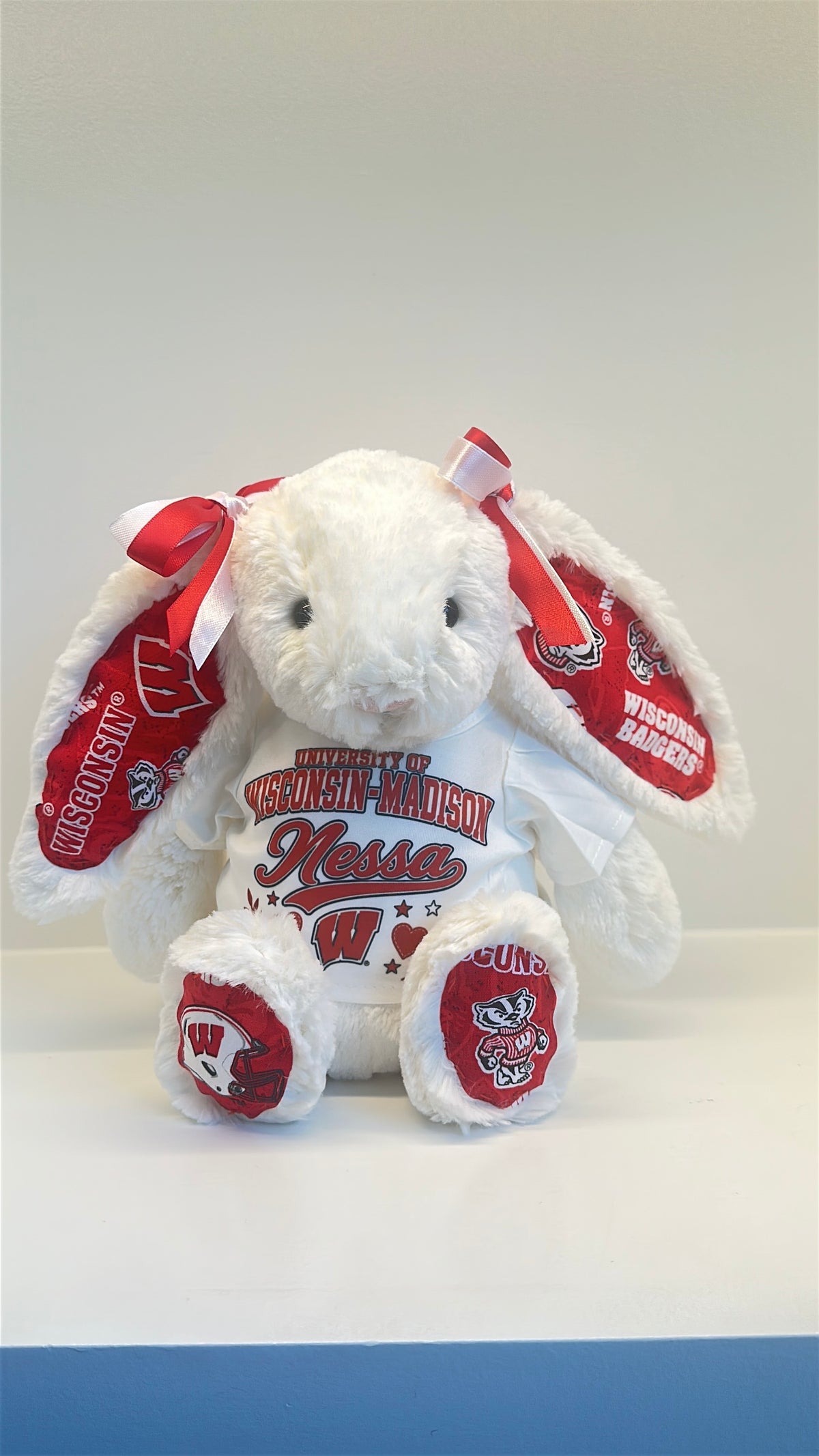 Custom College Plush