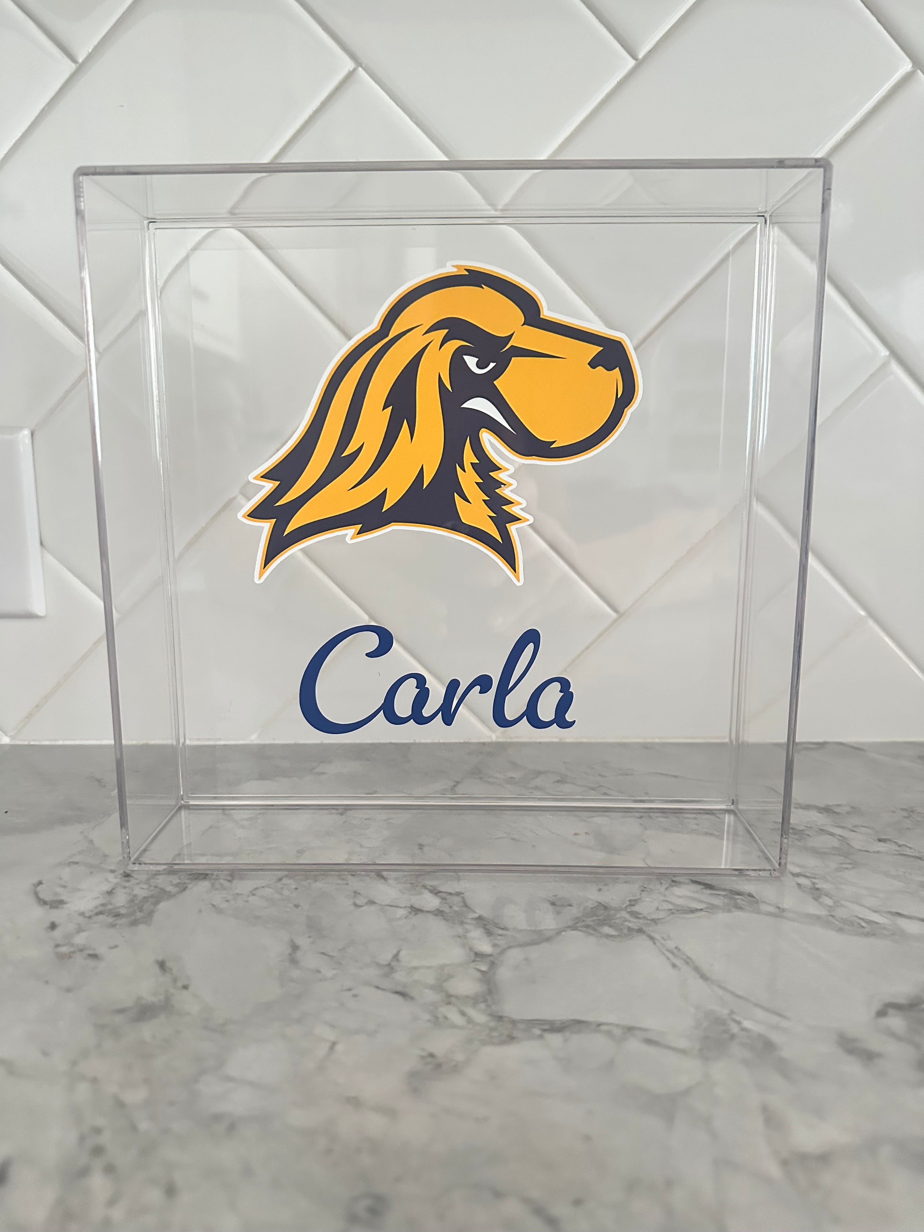 Customizable Acrylic Trays, College Acceptance Gifts, Personalized Graduation Gift, College Gifts, High School Graduation Gift, College Merch, Dorm Decor